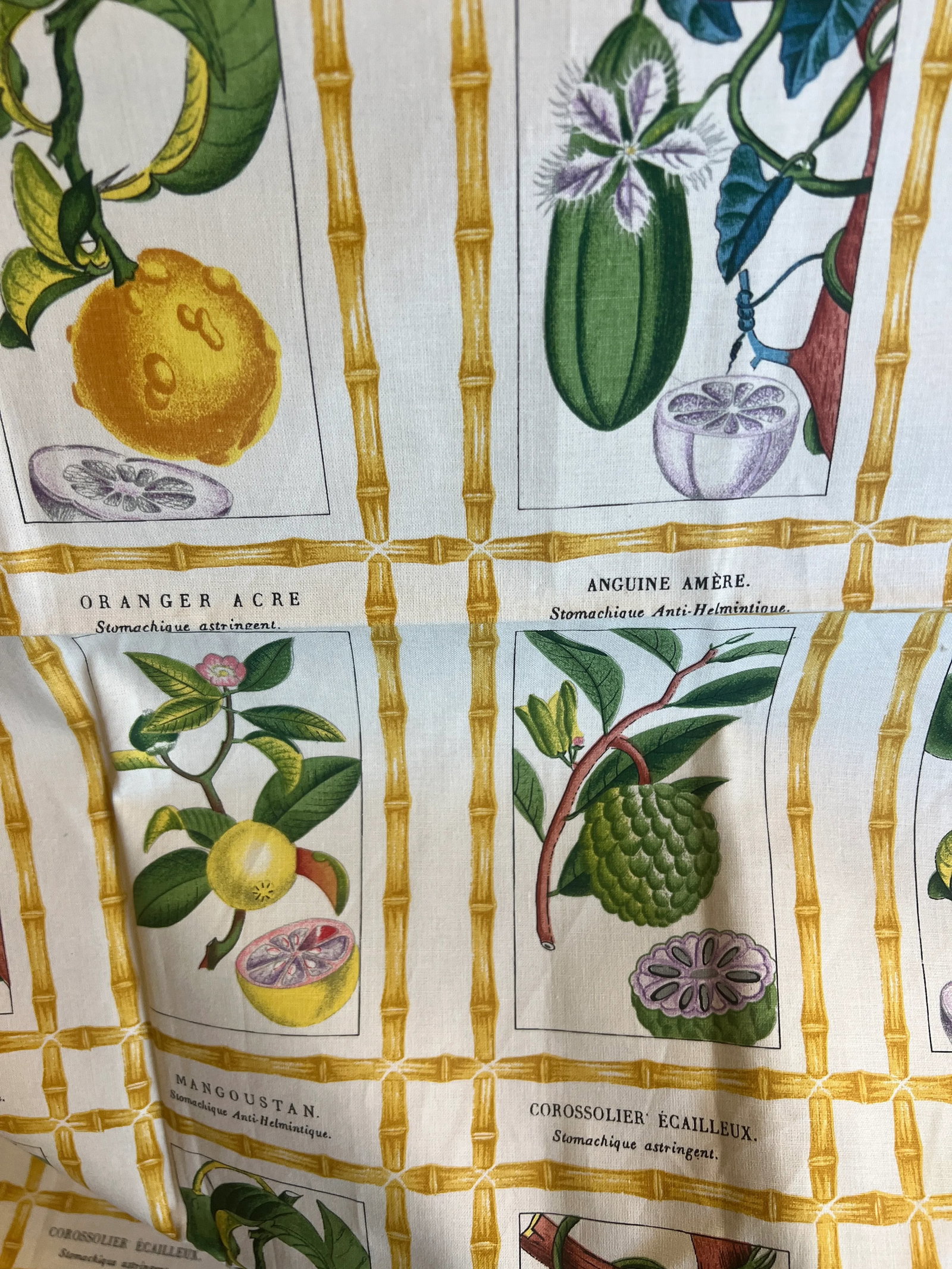 Brunschwig & Fils Botanical Print Fabric - 3