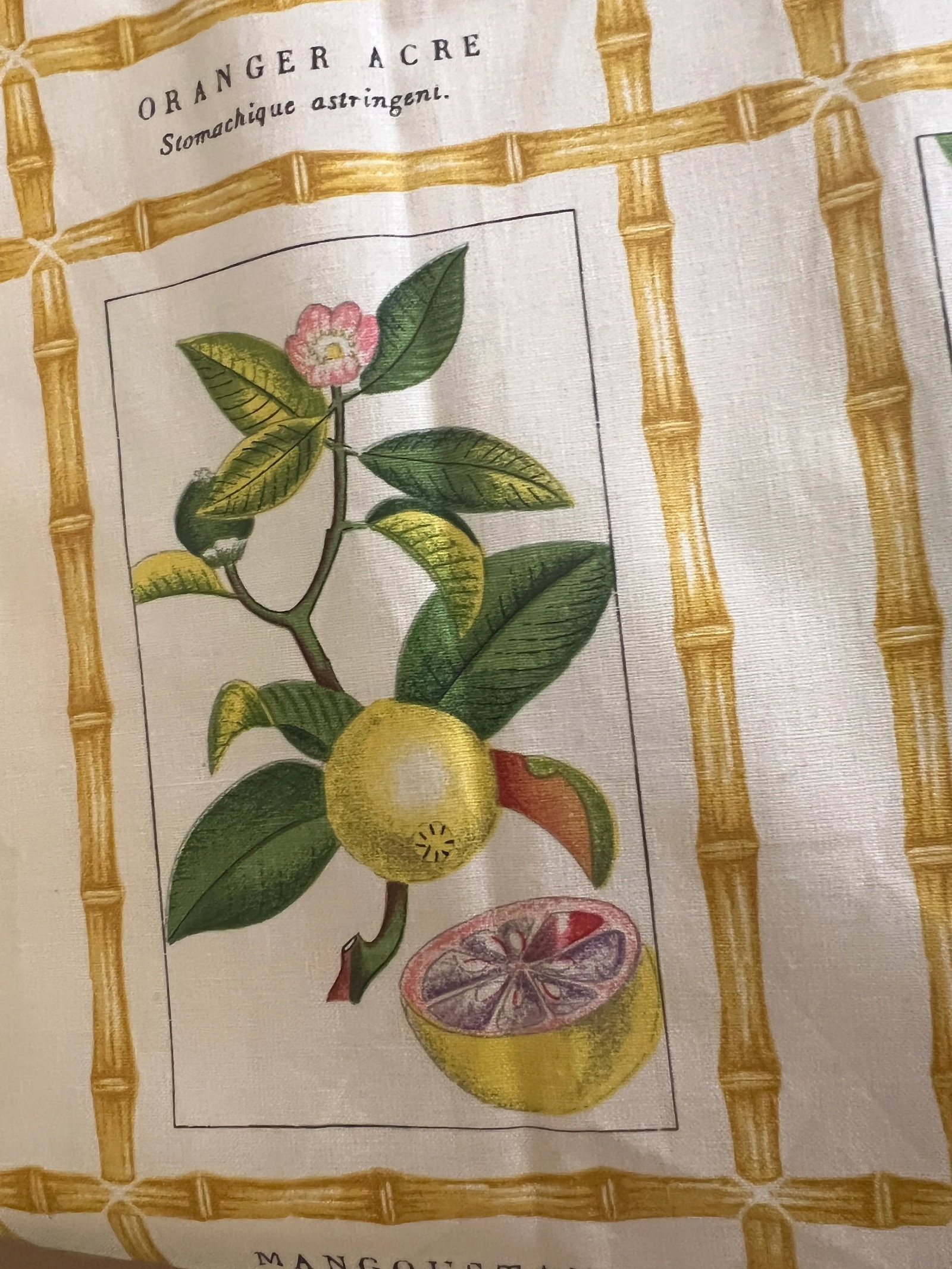 Brunschwig & Fils Botanical Print Fabric - 4