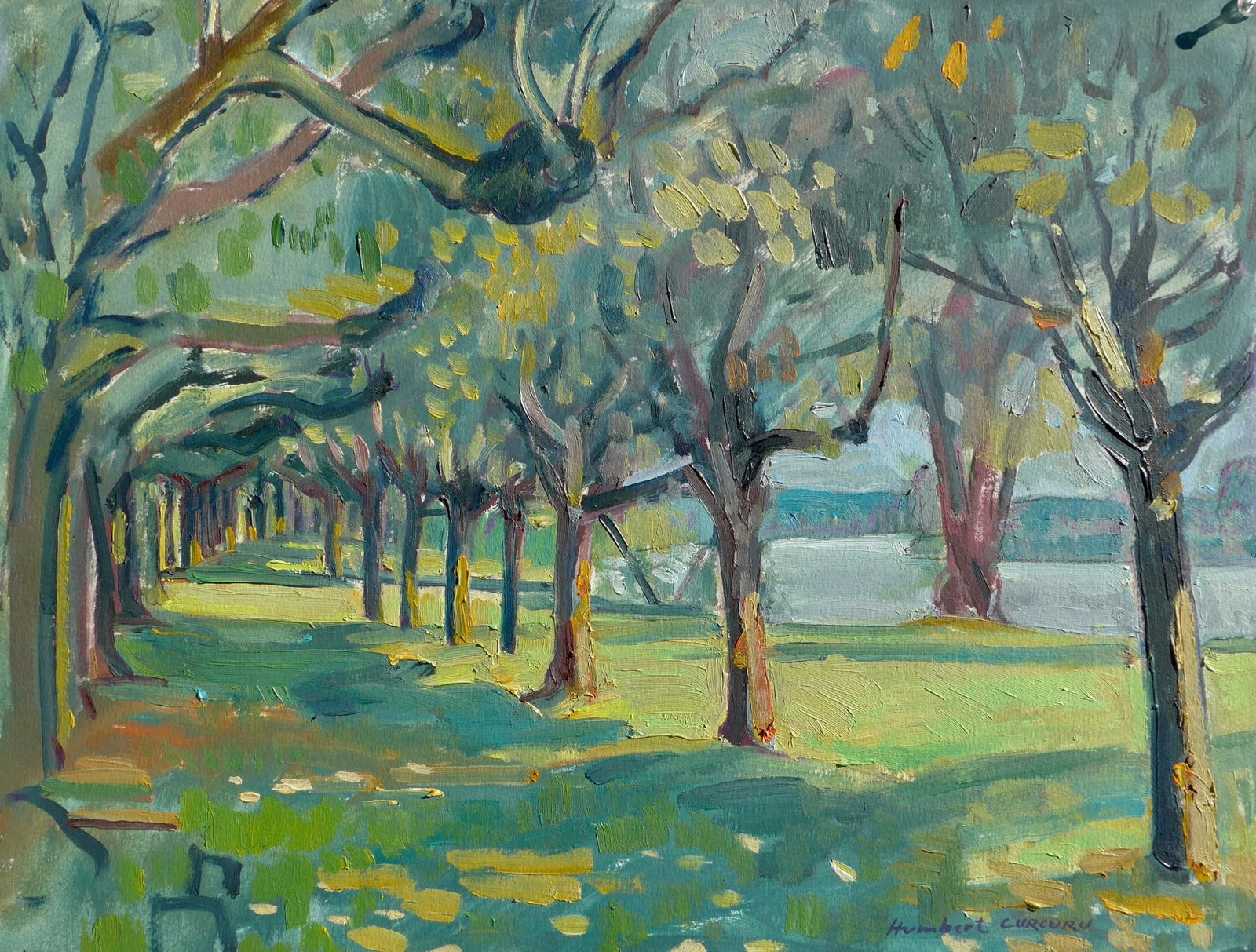 Trees by the River in France - 3