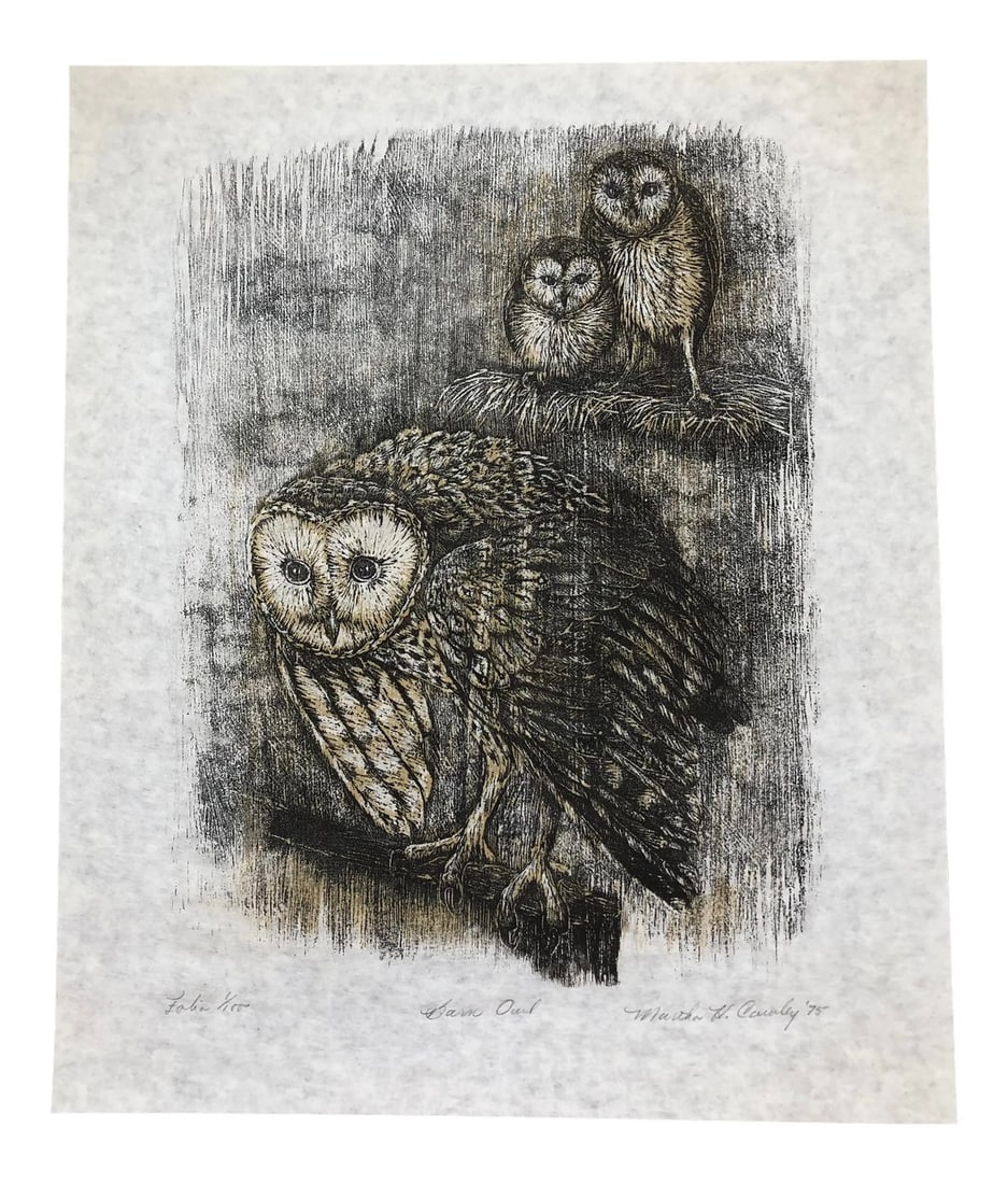 1975 Martha Cawley Woodblock Print, Barn Owls, #1/100: 1975 Martha Cawley woodblock print on rice paper, Barn Owls. It is from a woodblock series entitled, "The North American Owl Collection." Each one is #1/100 prints. Condition: Alterations: Original