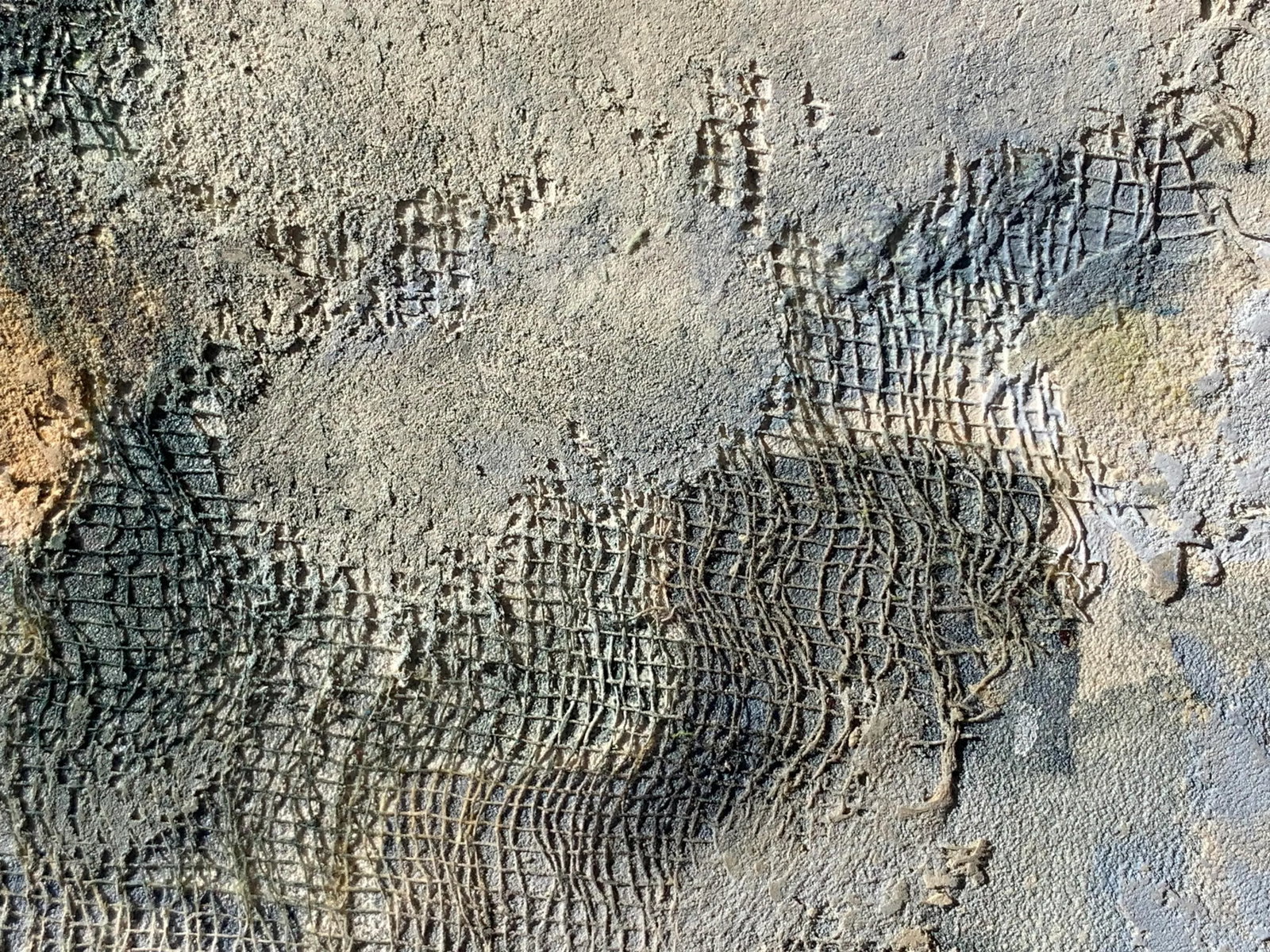 Contemporary Abstract Expressionist Mixed-Media Encaustic Painting by Eiko Shima - 4