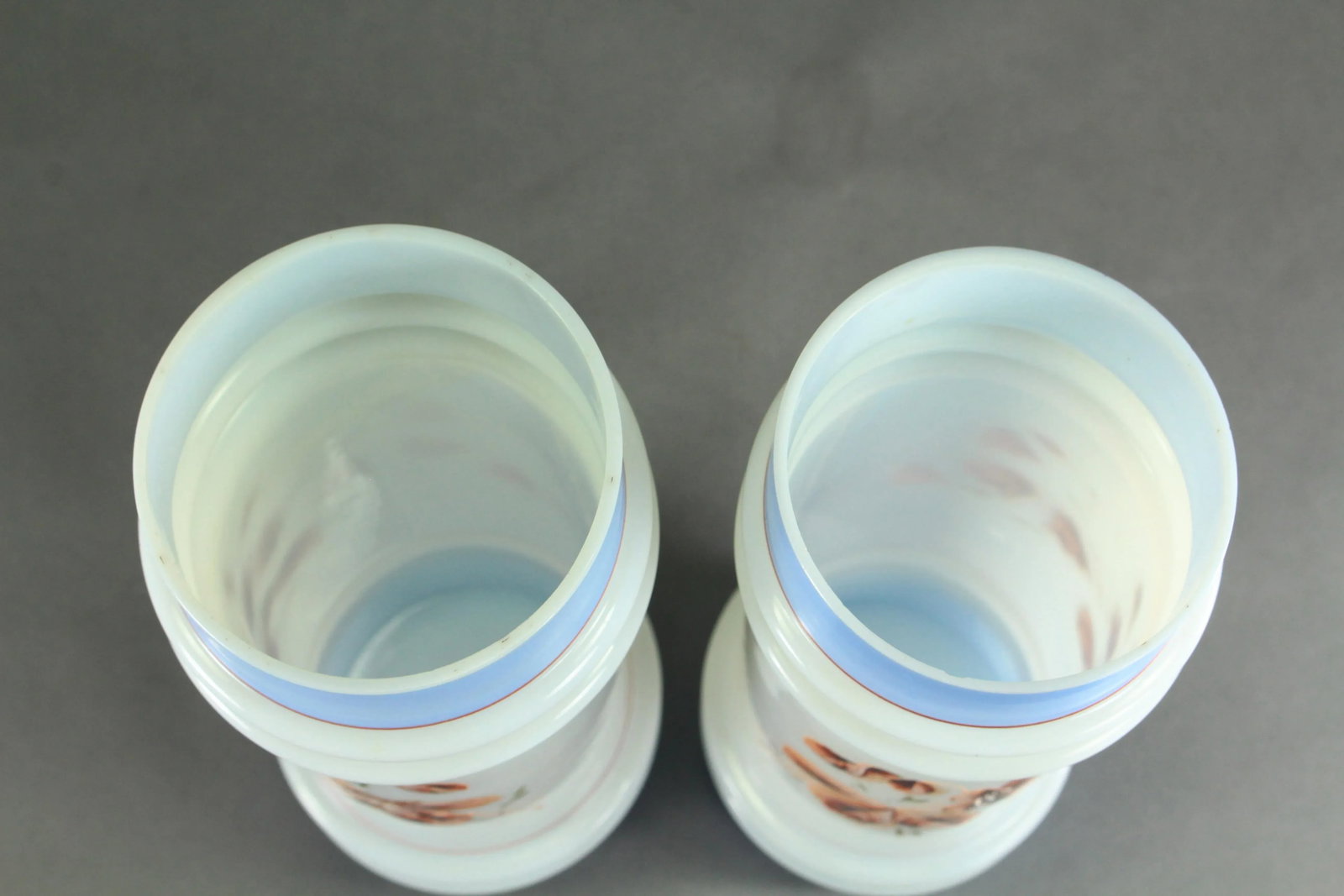 Pair of Victorian 19th/20th Century Bristol Glass Vases, Opaque White Painted Flowers - 5