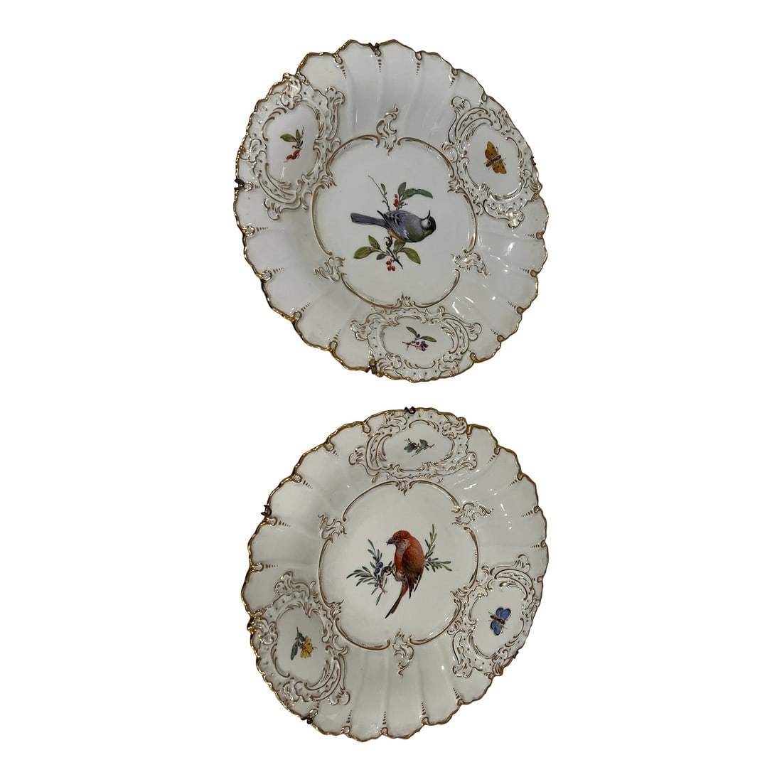 Pair, Antique Meissen Porcelain Ornithological & Gold Encrusted Chargers: Meissen (German, founded 1710), 20th century. A pair of fine quality porcelain chargers depicting two hand painted birds. Each centralized ornithological bird perched on a branch is surrounded by