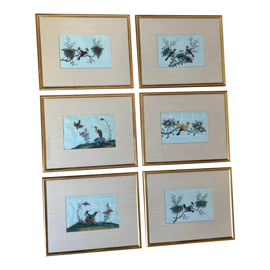 Antique Chinese Export Gouache Bird Paintings on Pith, Set of 6: Incredible history in this set of 6 original 19th century bird paintings. These Chinese gouache paintings were made as souvenirs to foreign visitors and were painted on delicate pith paper which