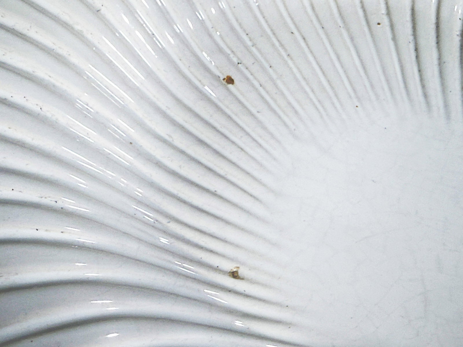 Williams Sonoma Portugal White Ceramic Scallop Shell Plates - Set of 4 - 7