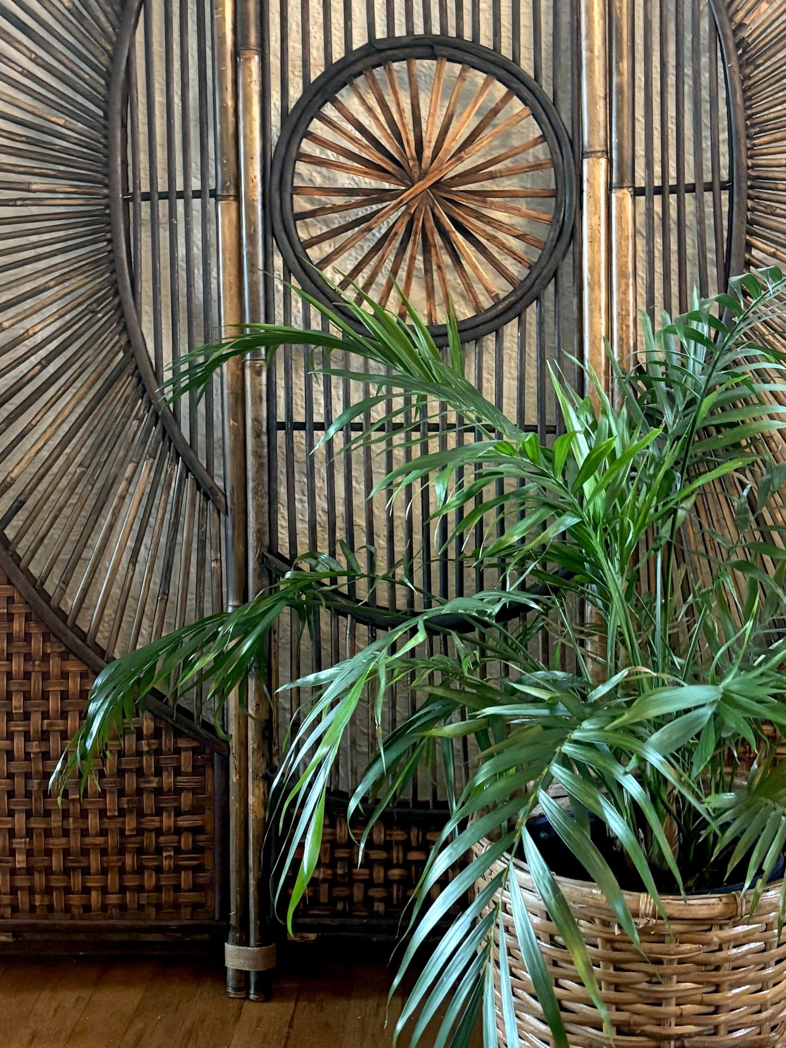Mid 20th Century Bamboo Wicker Sunburst Folding Room Divider Screen, 3 Panel - 3