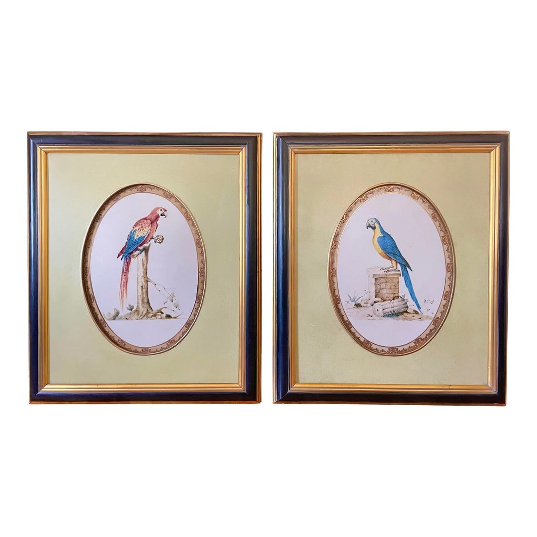 1980s Large Framed Macaw Parrot Ceramic Oval Plaques- a Pair (1 of 9)