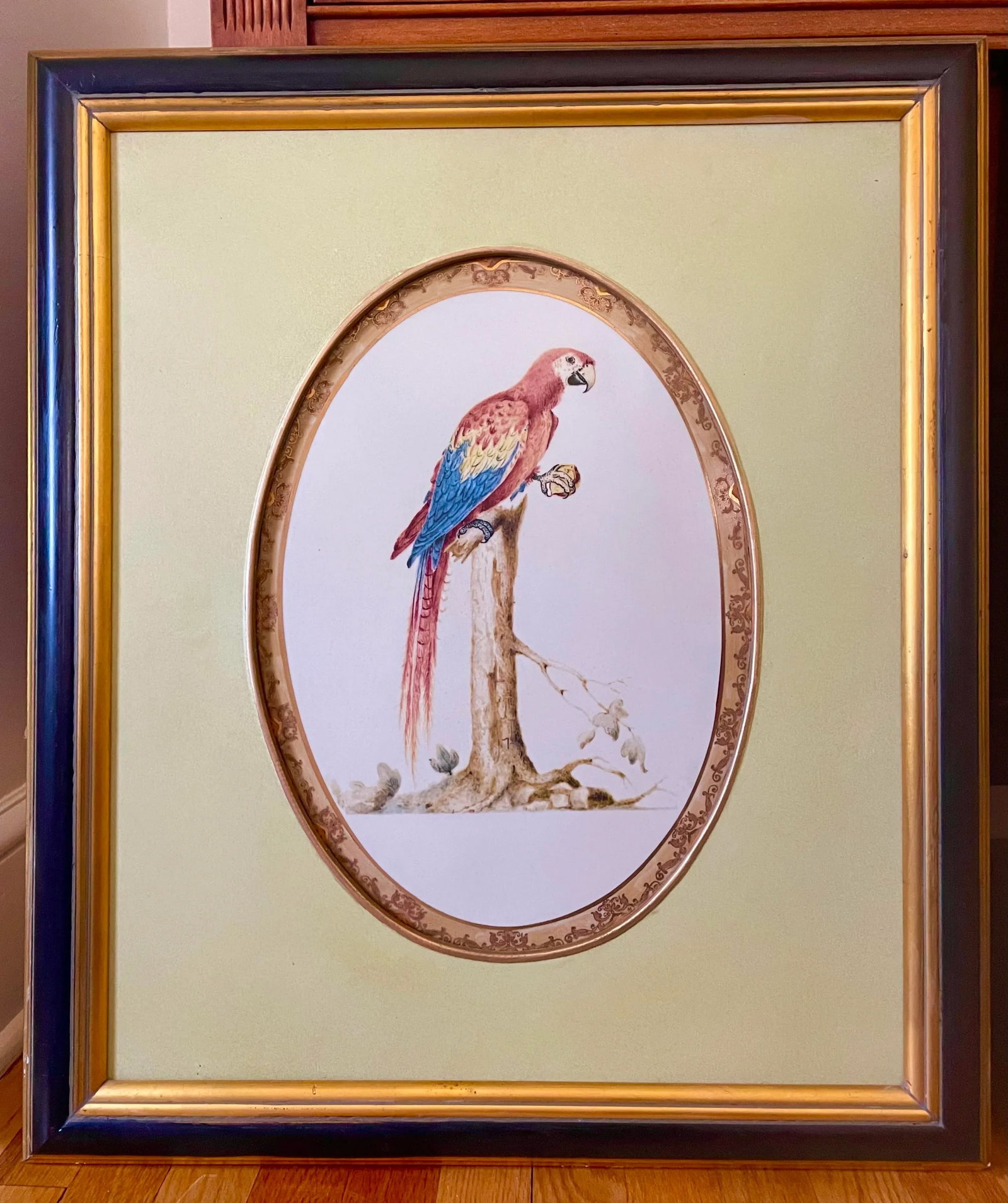 1980s Large Framed Macaw Parrot Ceramic Oval Plaques- a Pair - 3