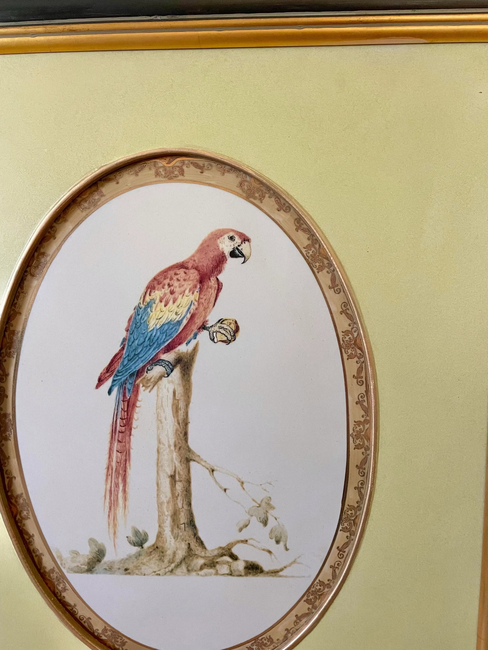 1980s Large Framed Macaw Parrot Ceramic Oval Plaques- a Pair - 4