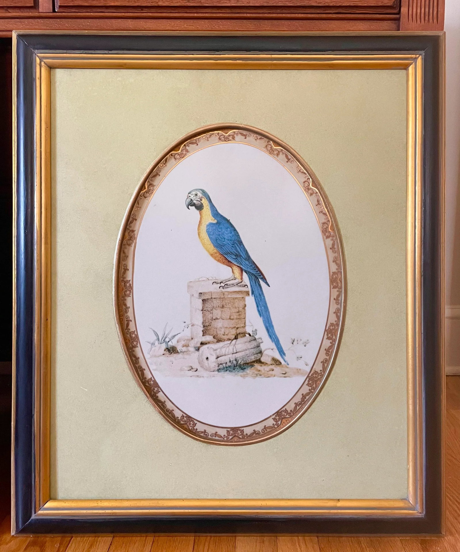 1980s Large Framed Macaw Parrot Ceramic Oval Plaques- a Pair - 5