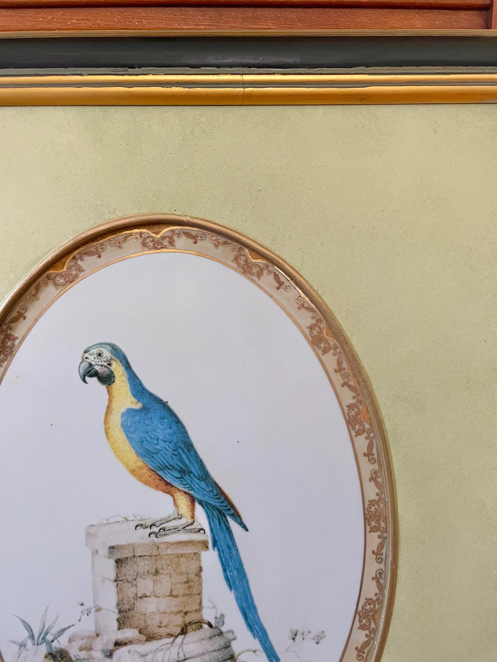 1980s Large Framed Macaw Parrot Ceramic Oval Plaques- a Pair - 6