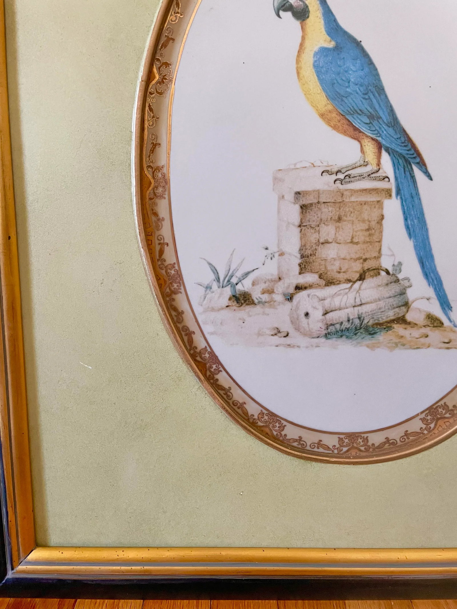 1980s Large Framed Macaw Parrot Ceramic Oval Plaques- a Pair - 7