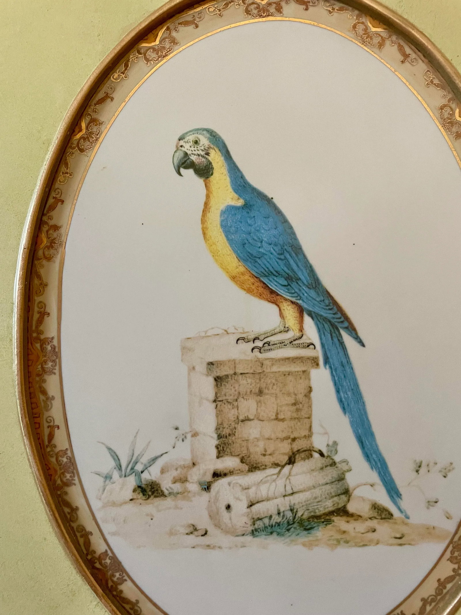 1980s Large Framed Macaw Parrot Ceramic Oval Plaques- a Pair - 8