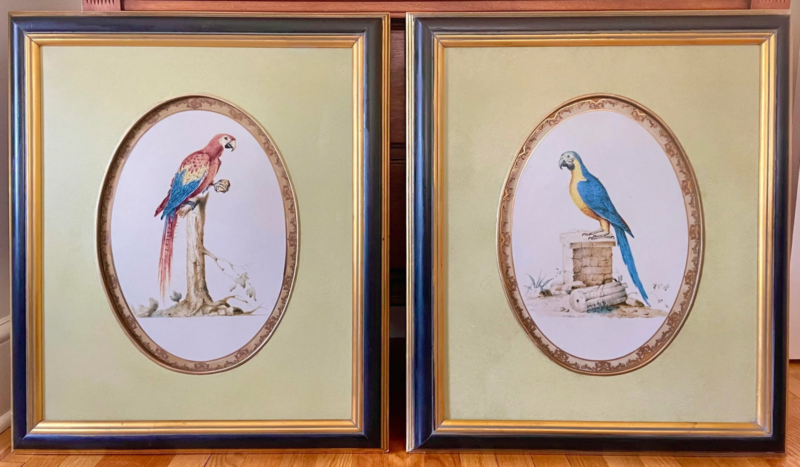 1980s Large Framed Macaw Parrot Ceramic Oval Plaques- a Pair - 9