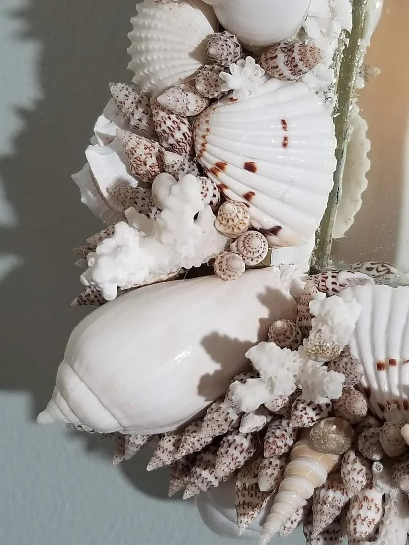 Handmade Natural Sea Shell Encrusted Wall Mirror - 10