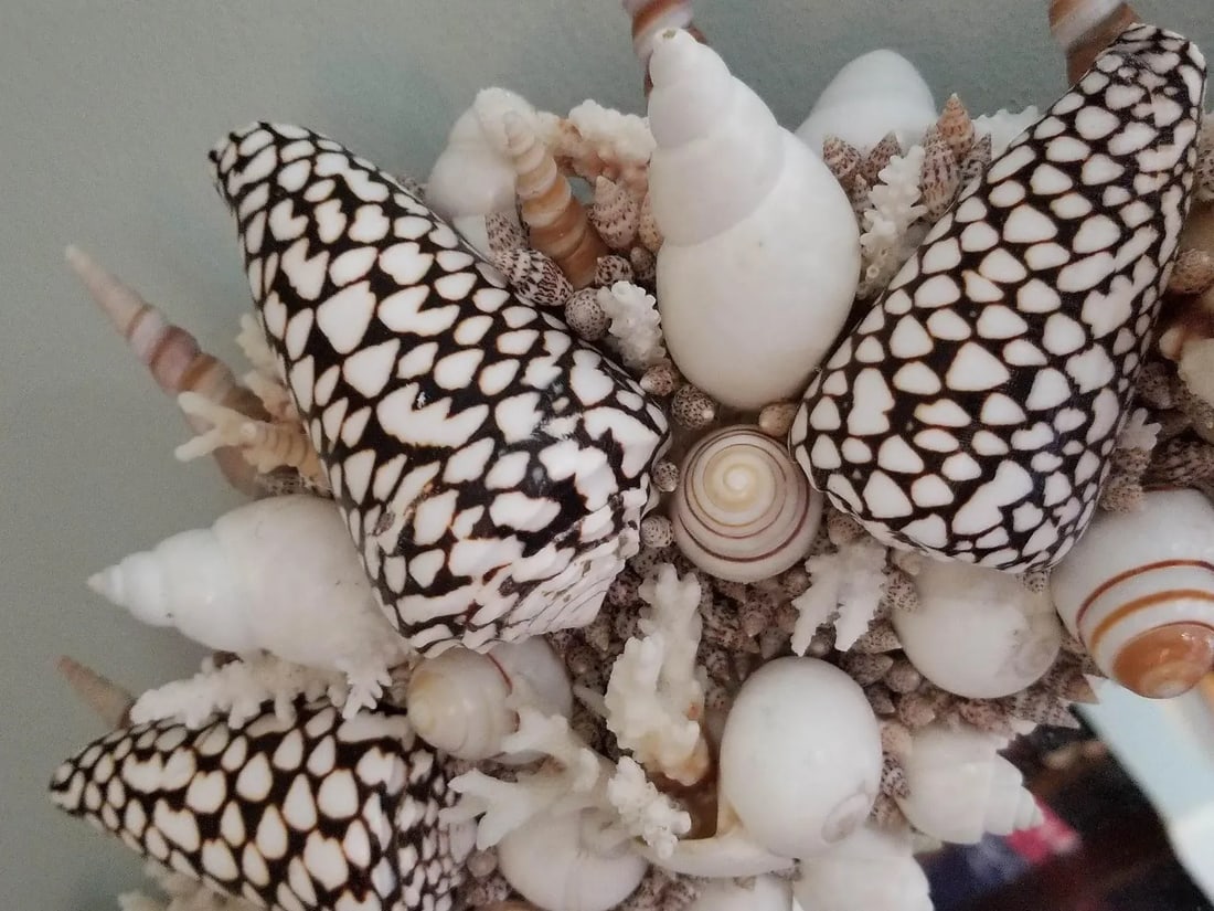 Handmade Natural Sea Shell Encrusted Wall Mirror - 8