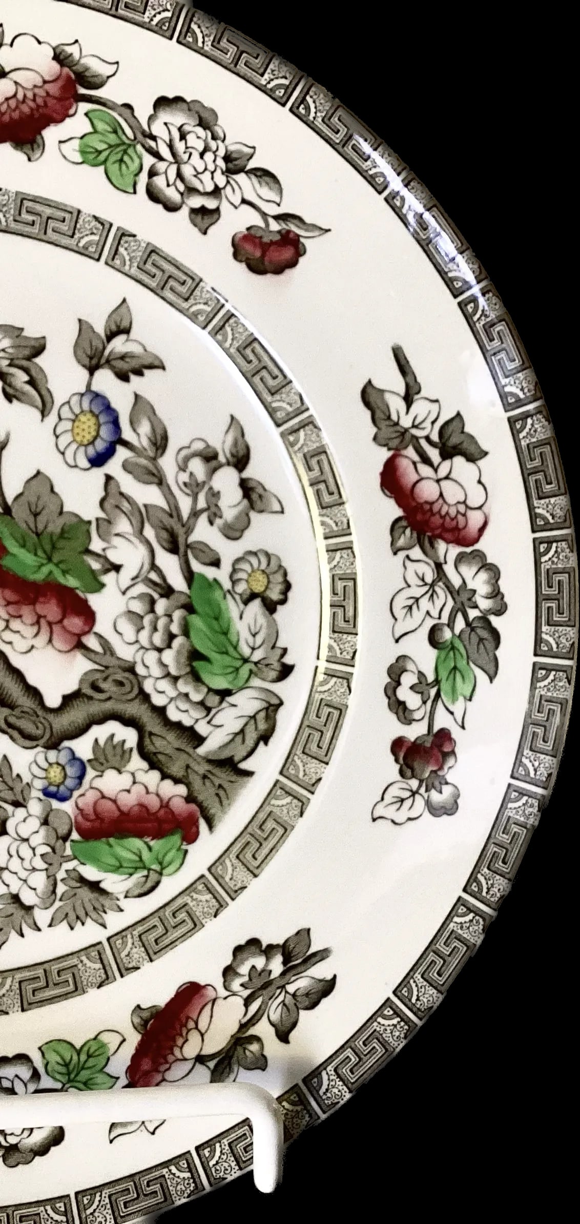 Set of Ridgeway of Staffordshire England "Indian Tree" Plates - 4