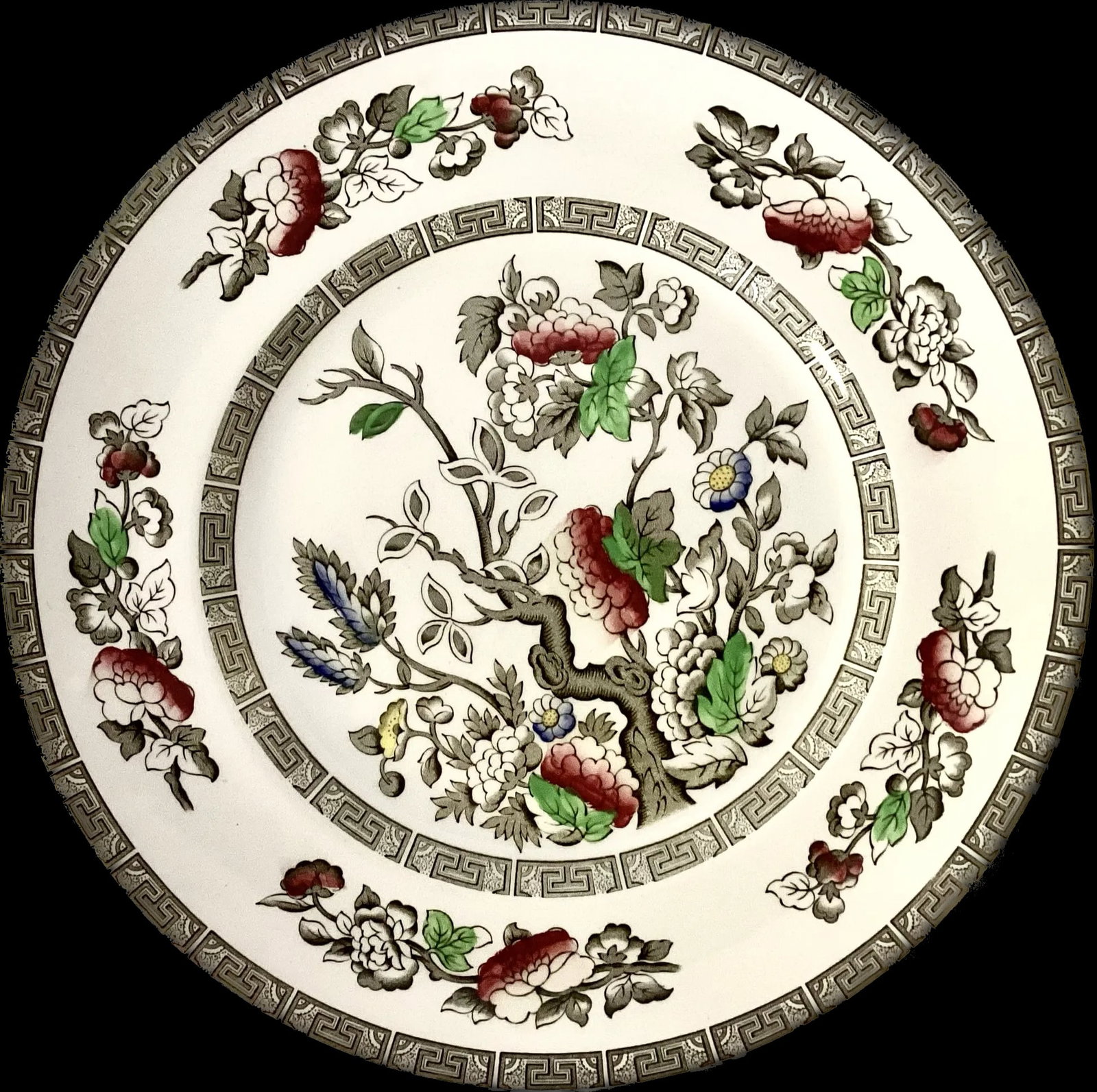 Set of Ridgeway of Staffordshire England "Indian Tree" Plates - 5
