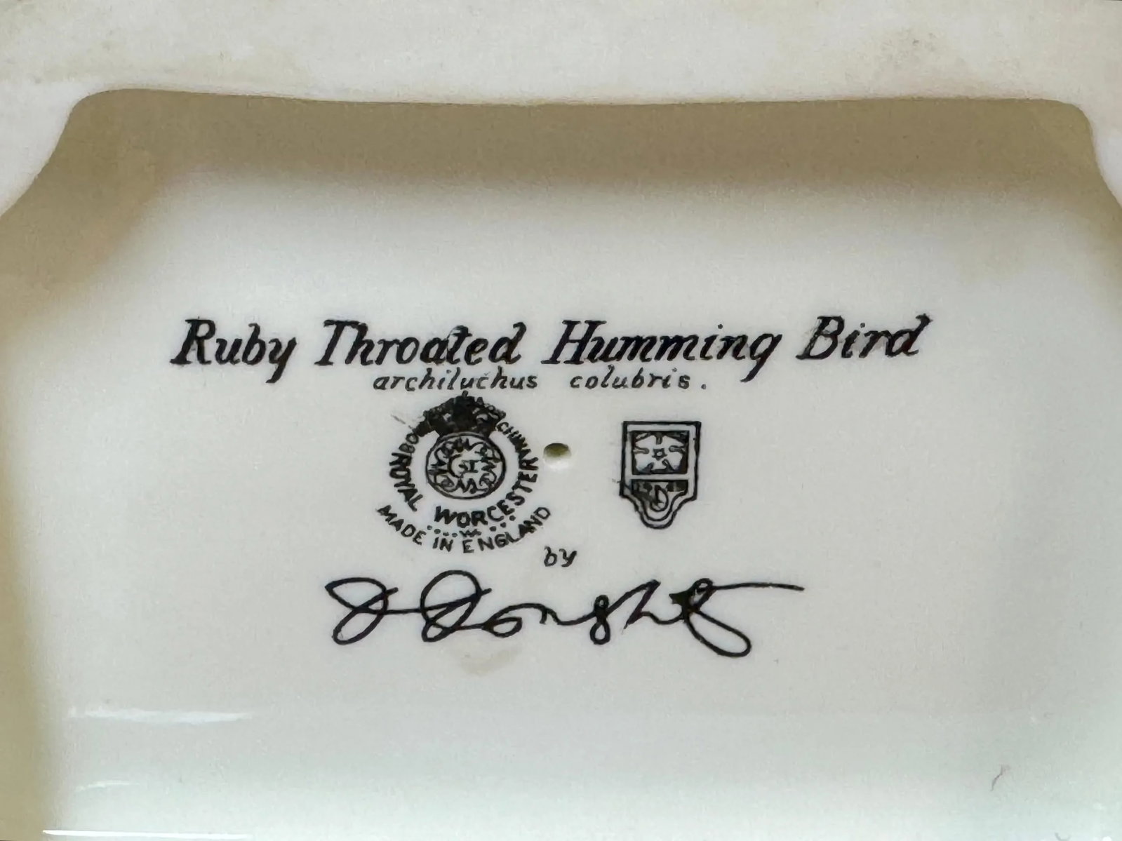 Royal Worcester Ruby Throated Hummingbird by Dorothy Doughty with Custom Crate - 3