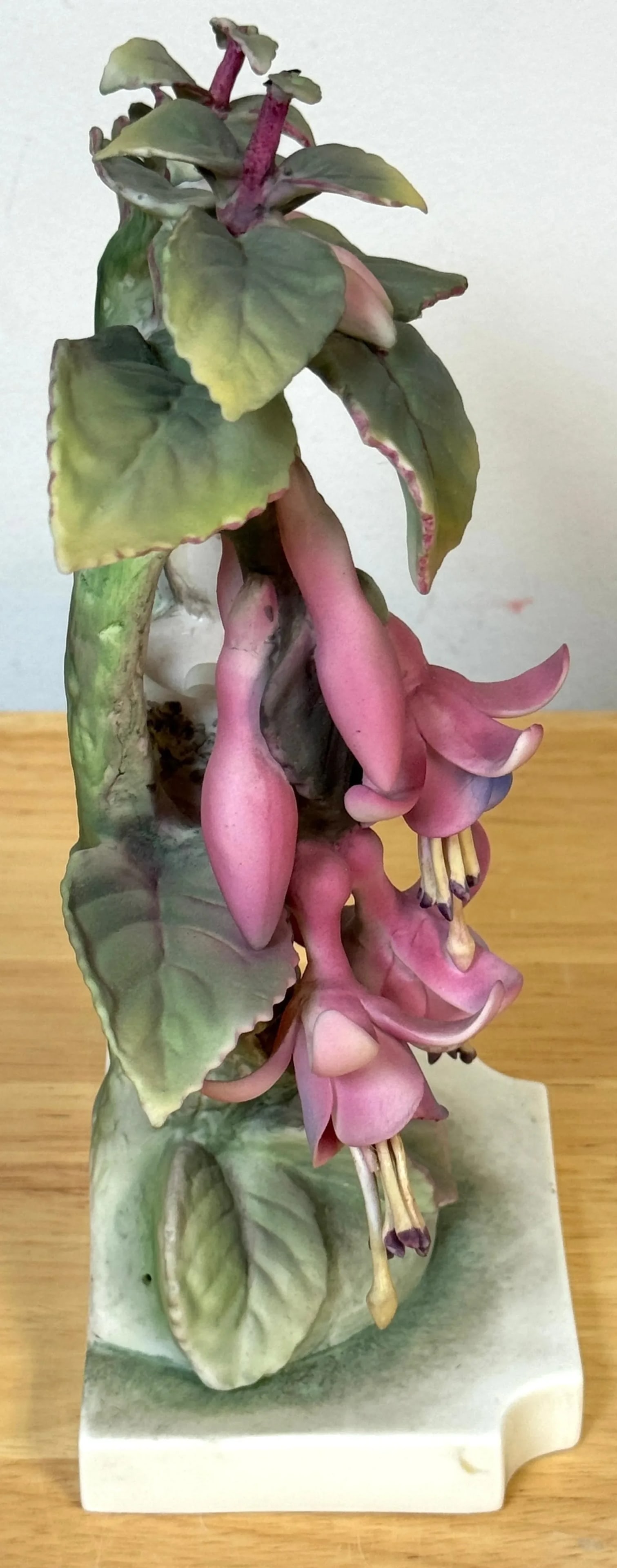 Royal Worcester Ruby Throated Hummingbird by Dorothy Doughty with Custom Crate - 8