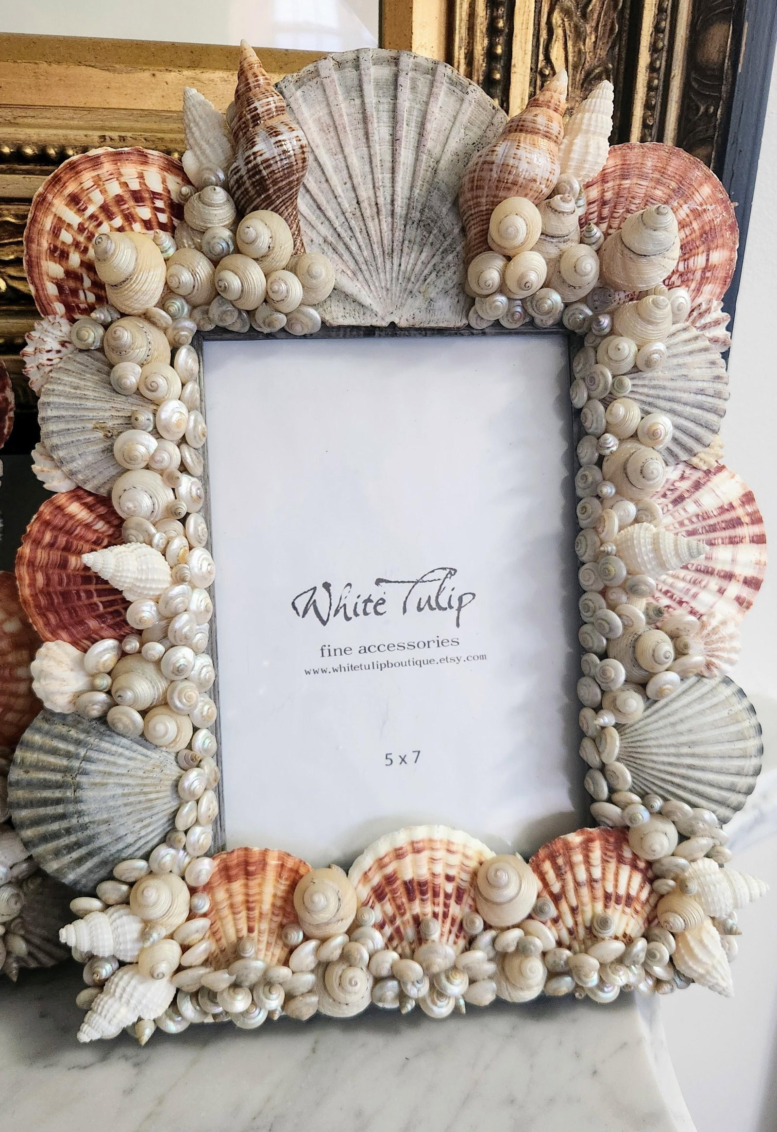 Pair of Sea Shell Encrusted Picture Frames- Set of 2 - 2