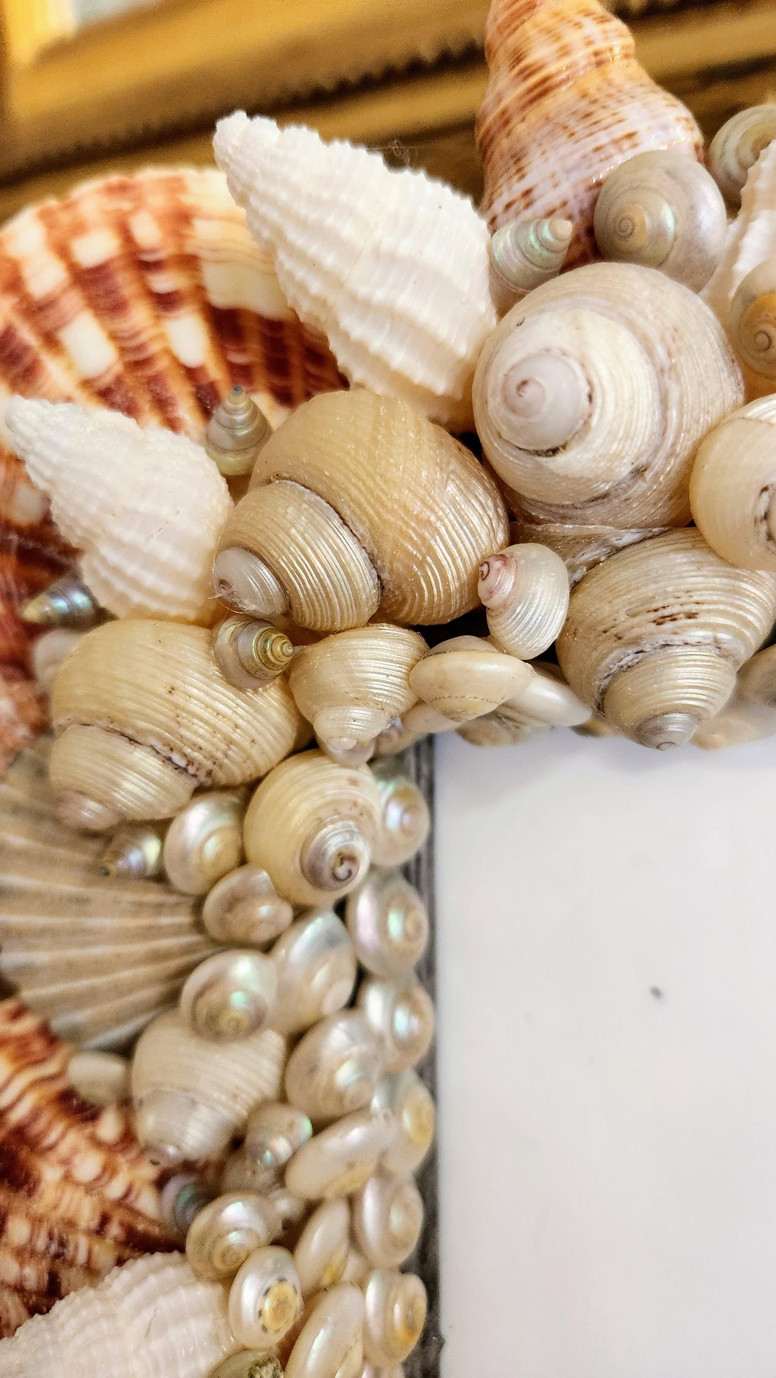 Pair of Sea Shell Encrusted Picture Frames- Set of 2 - 4