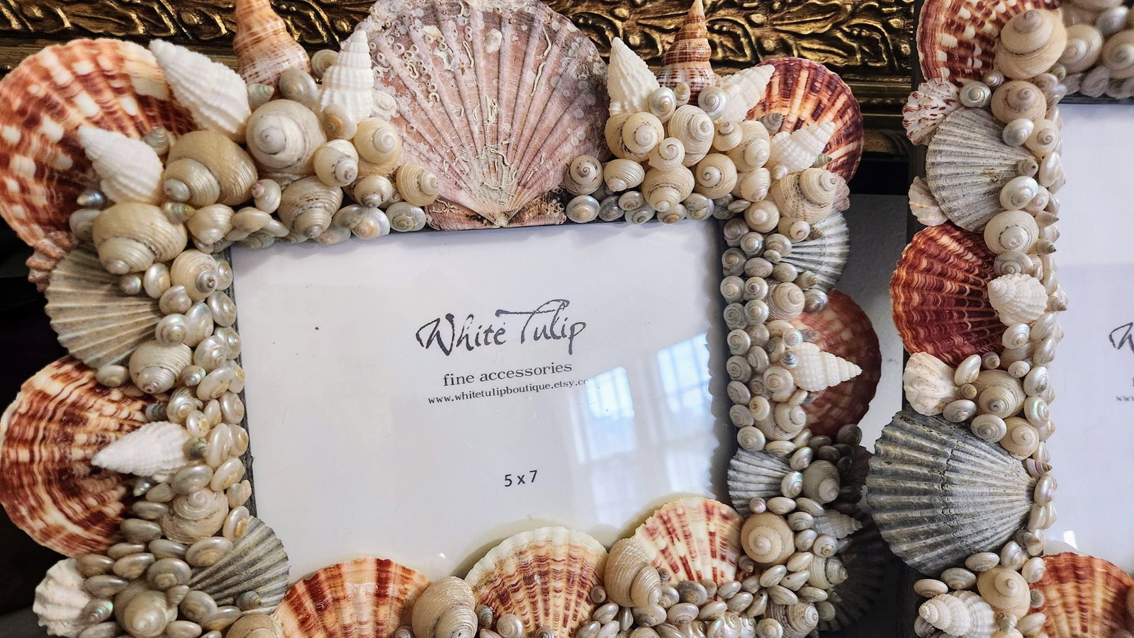 Pair of Sea Shell Encrusted Picture Frames- Set of 2 - 5