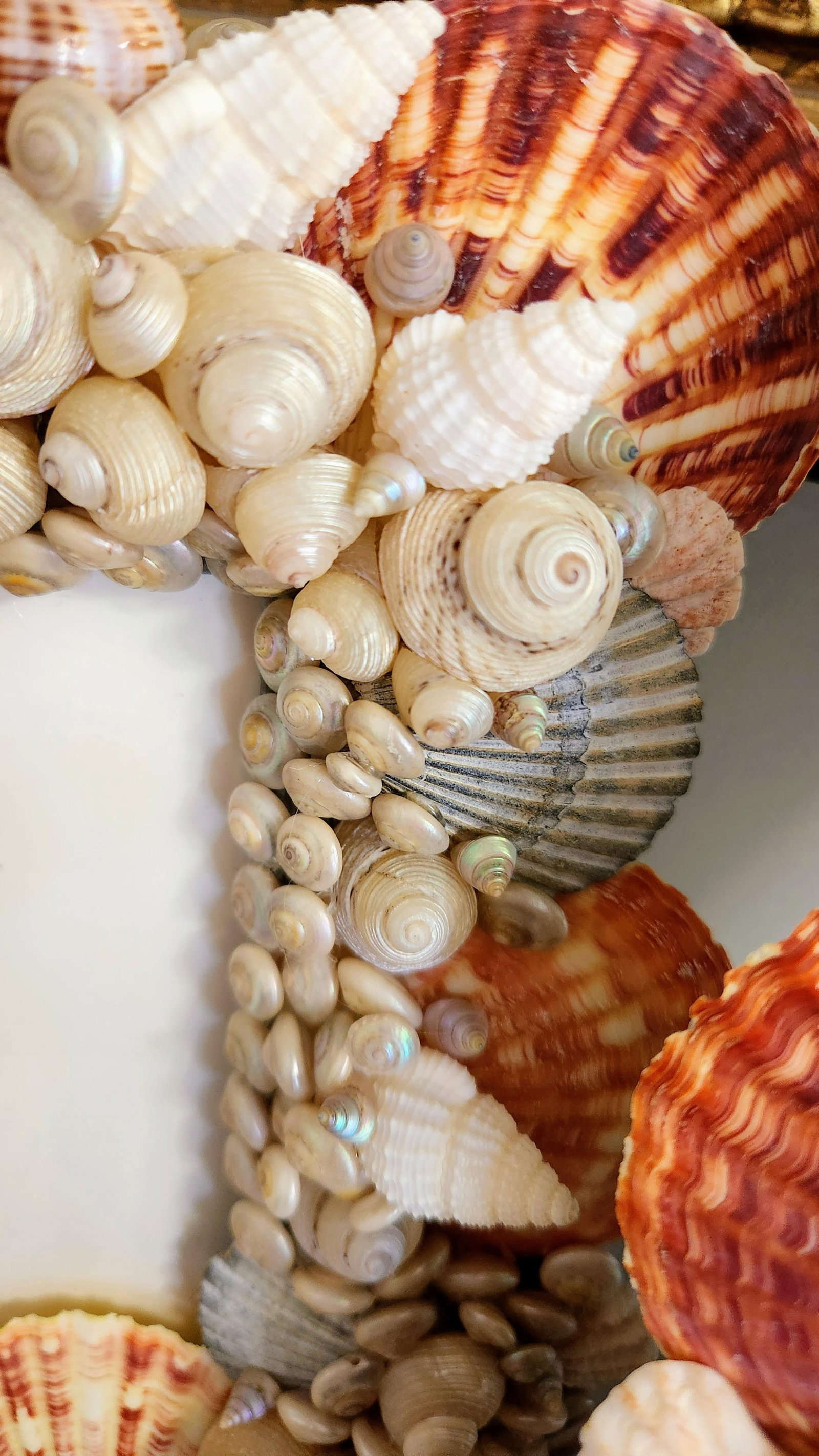 Pair of Sea Shell Encrusted Picture Frames- Set of 2 - 6
