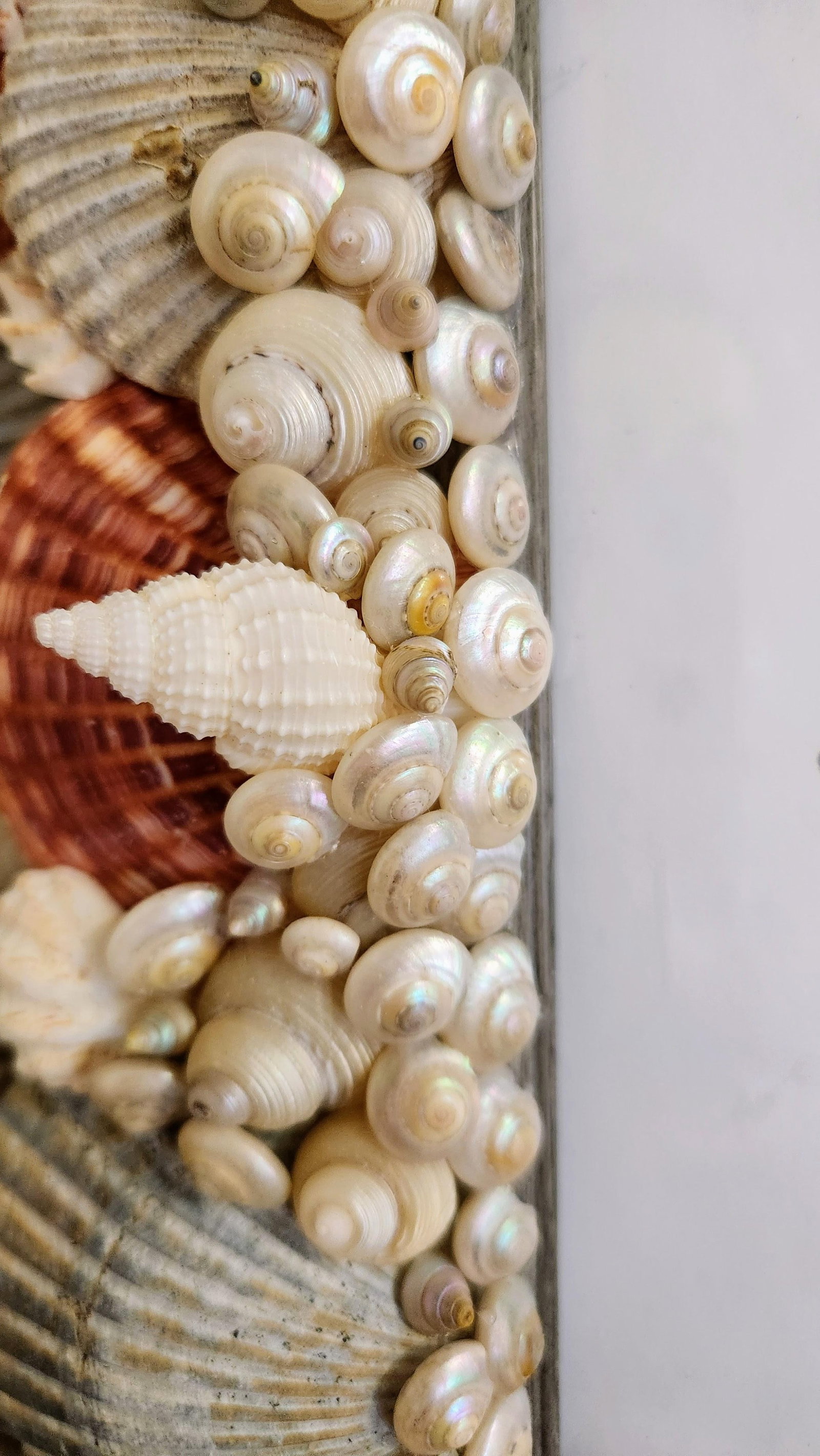 Pair of Sea Shell Encrusted Picture Frames- Set of 2 - 7