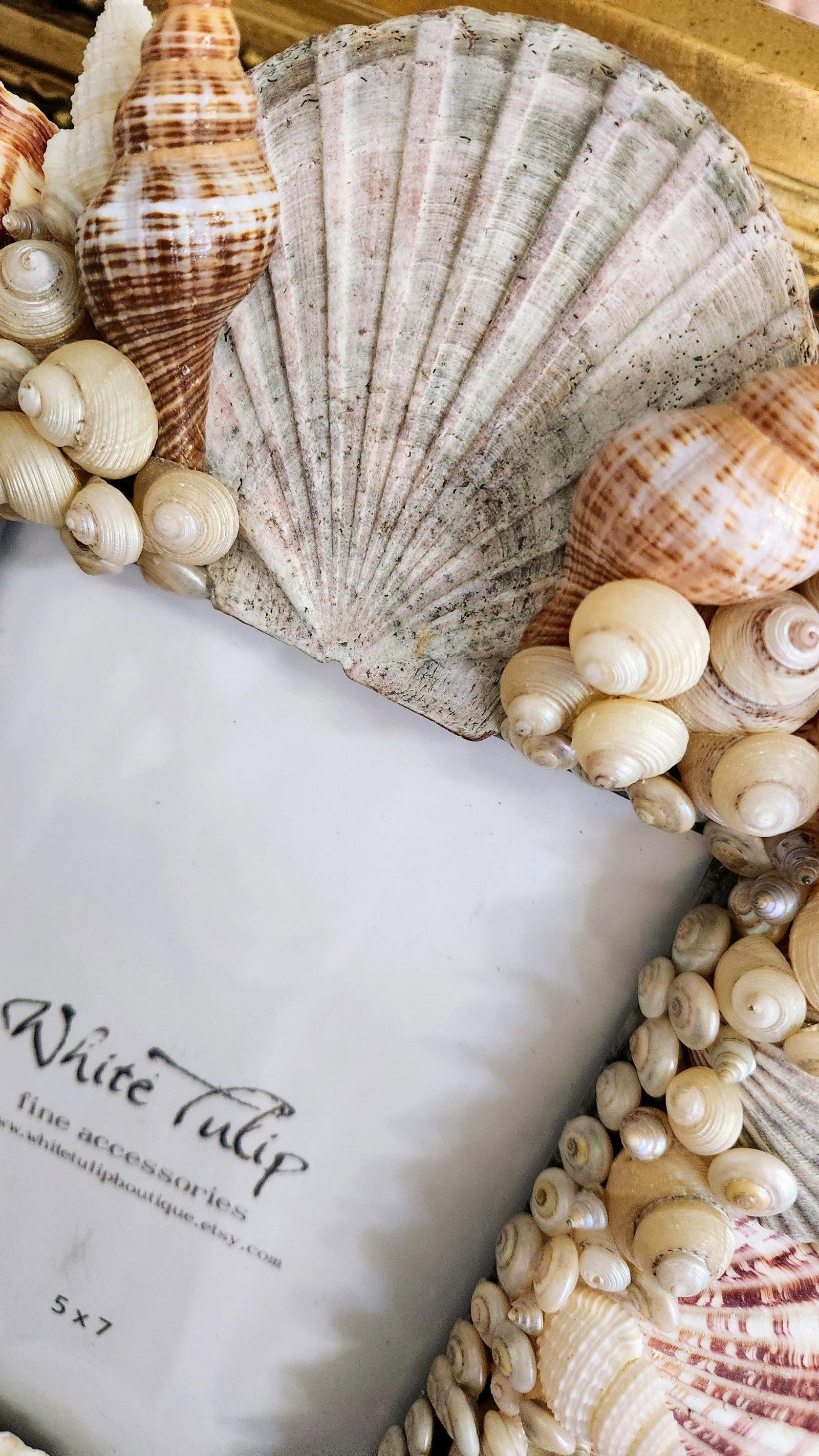 Pair of Sea Shell Encrusted Picture Frames- Set of 2 - 8
