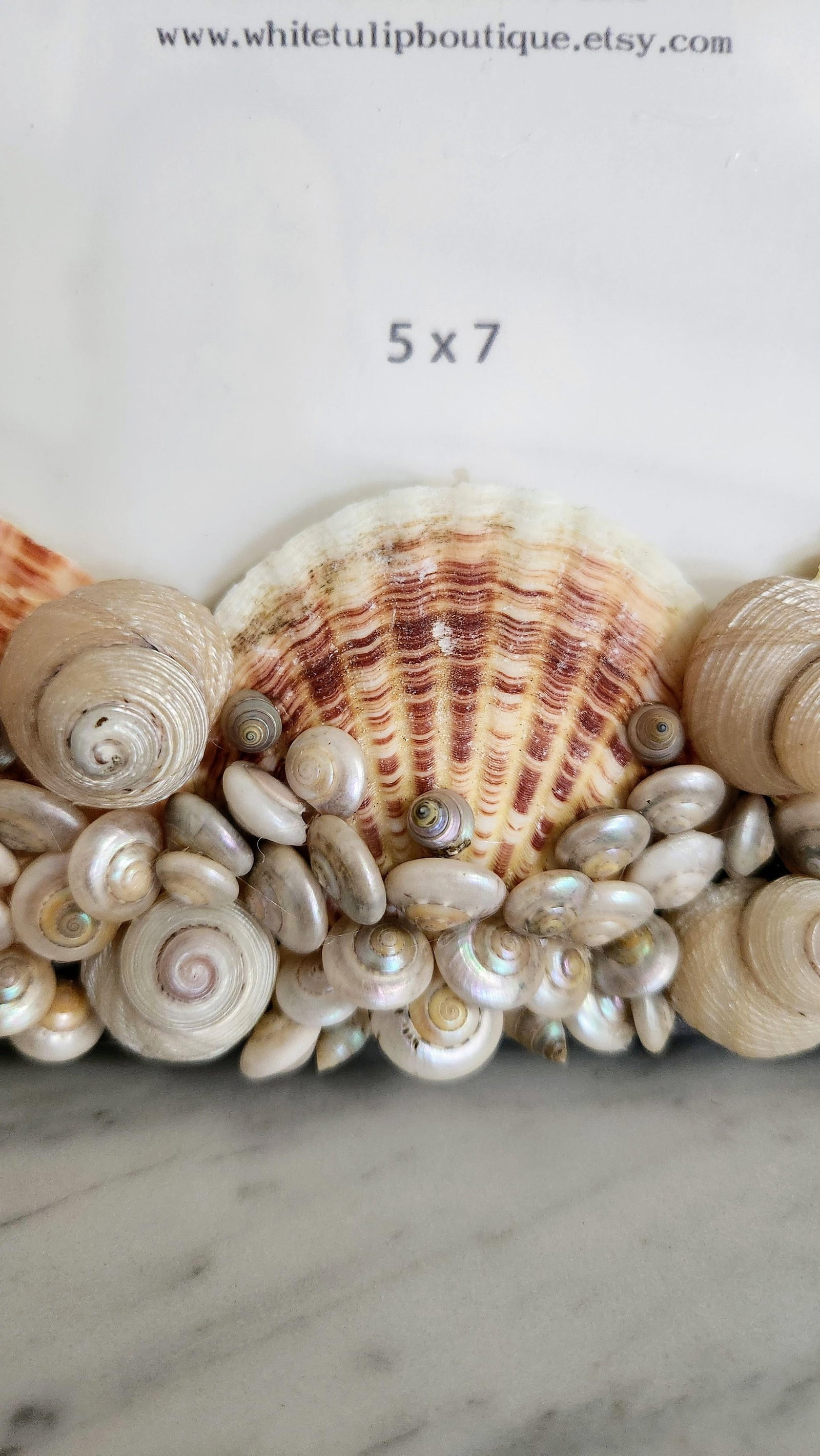 Pair of Sea Shell Encrusted Picture Frames- Set of 2 - 9