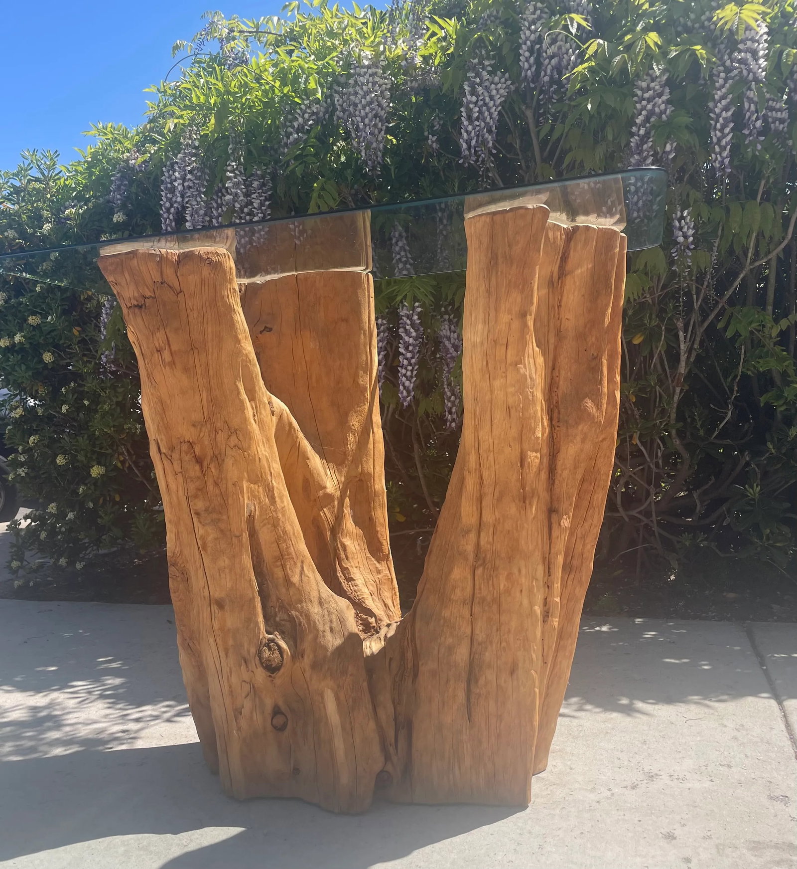 Biophilic Tree Trunk Console or Bar Height Table - 3
