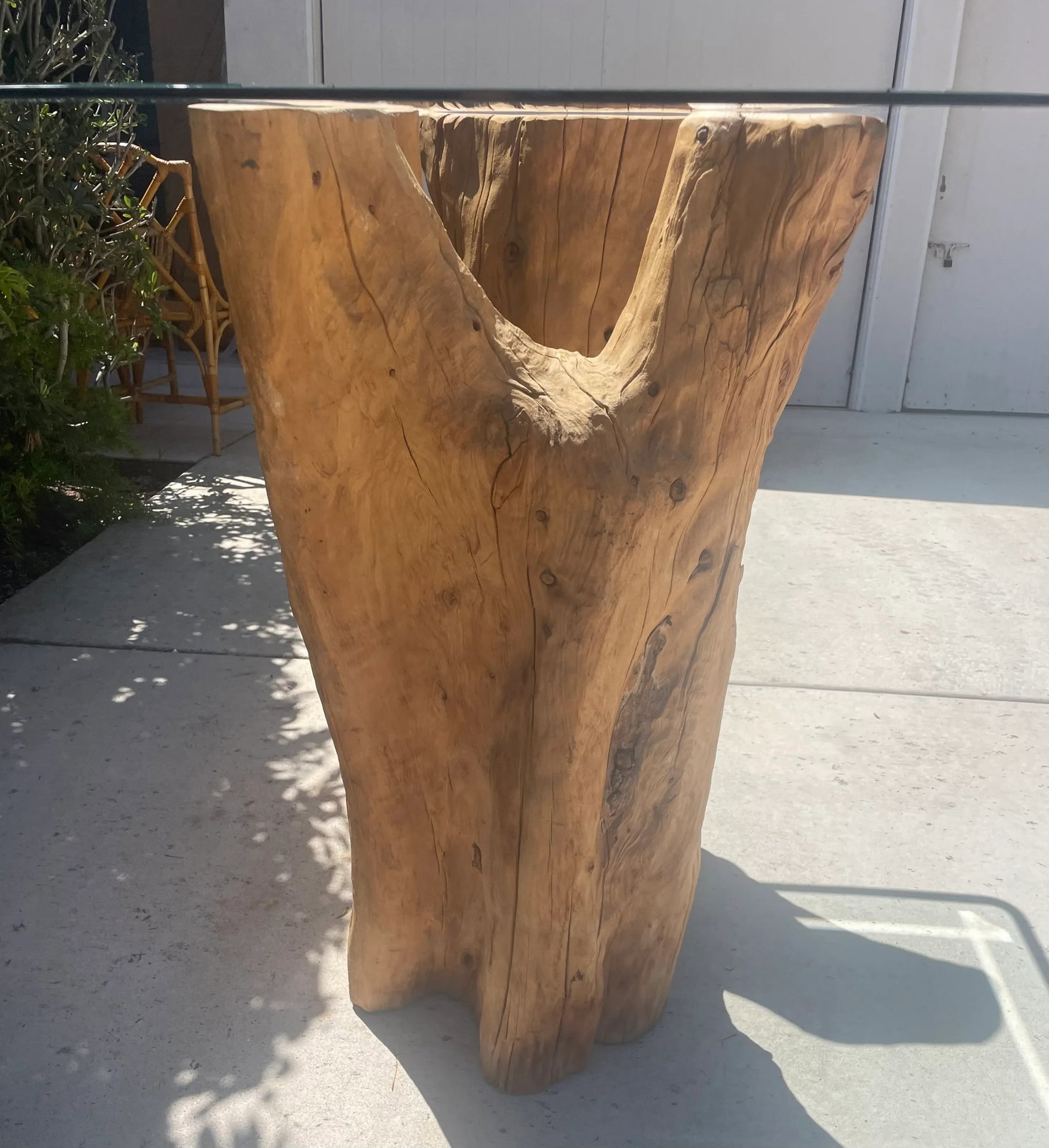 Biophilic Tree Trunk Console or Bar Height Table - 5
