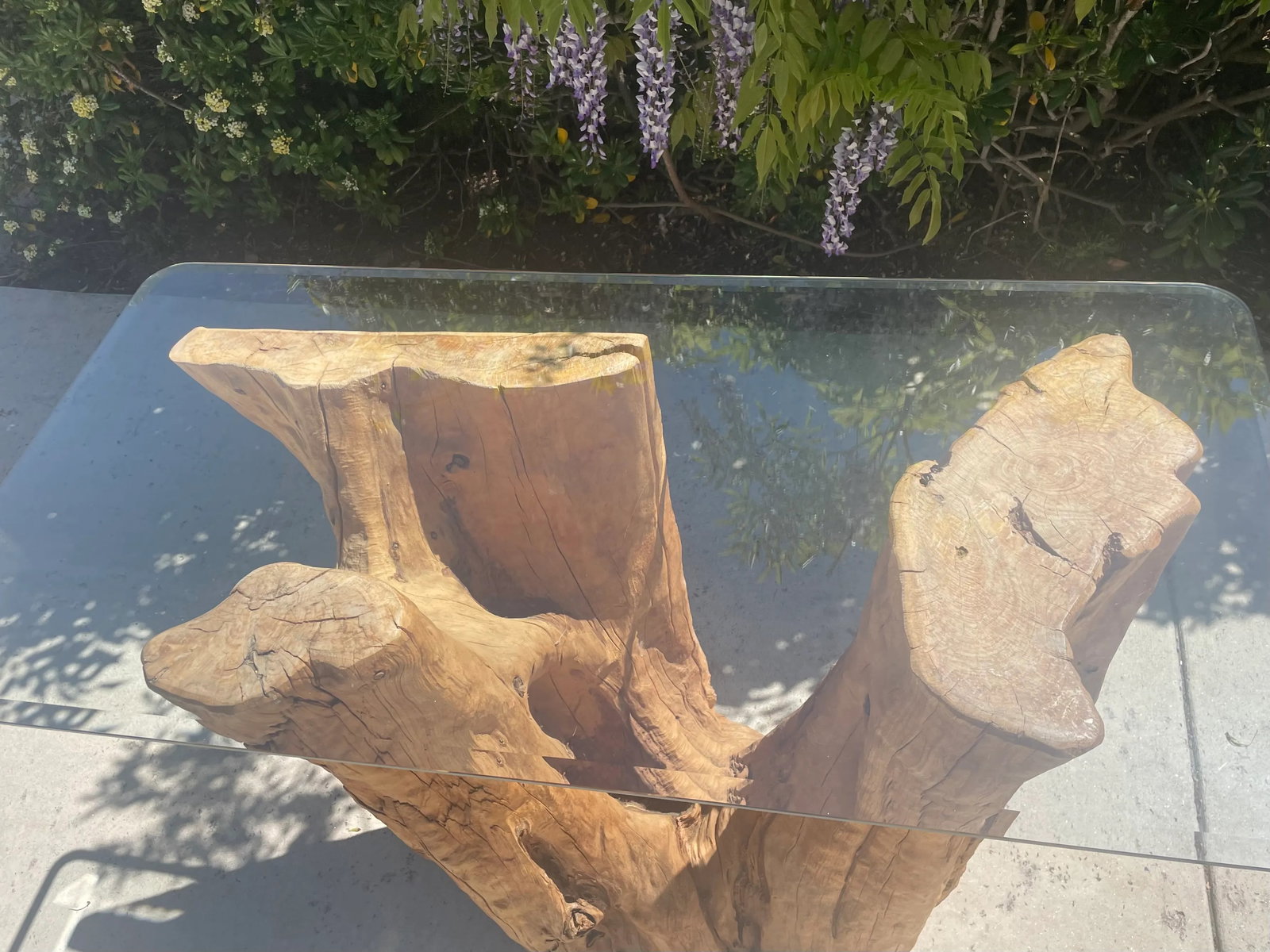 Biophilic Tree Trunk Console or Bar Height Table - 8