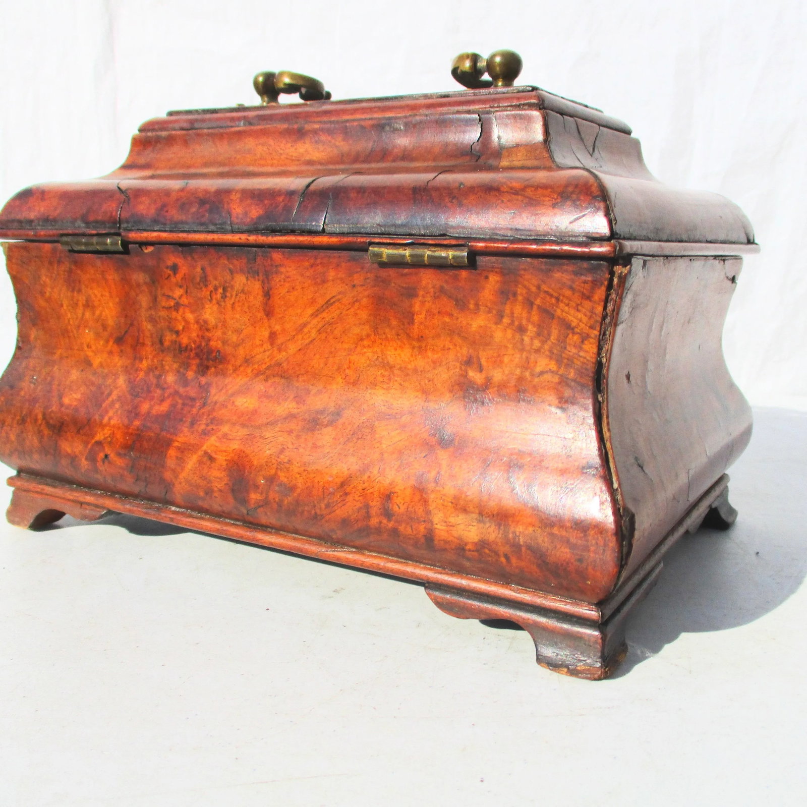 18th Century Dutch Bombay Burl Tea Caddy - 4