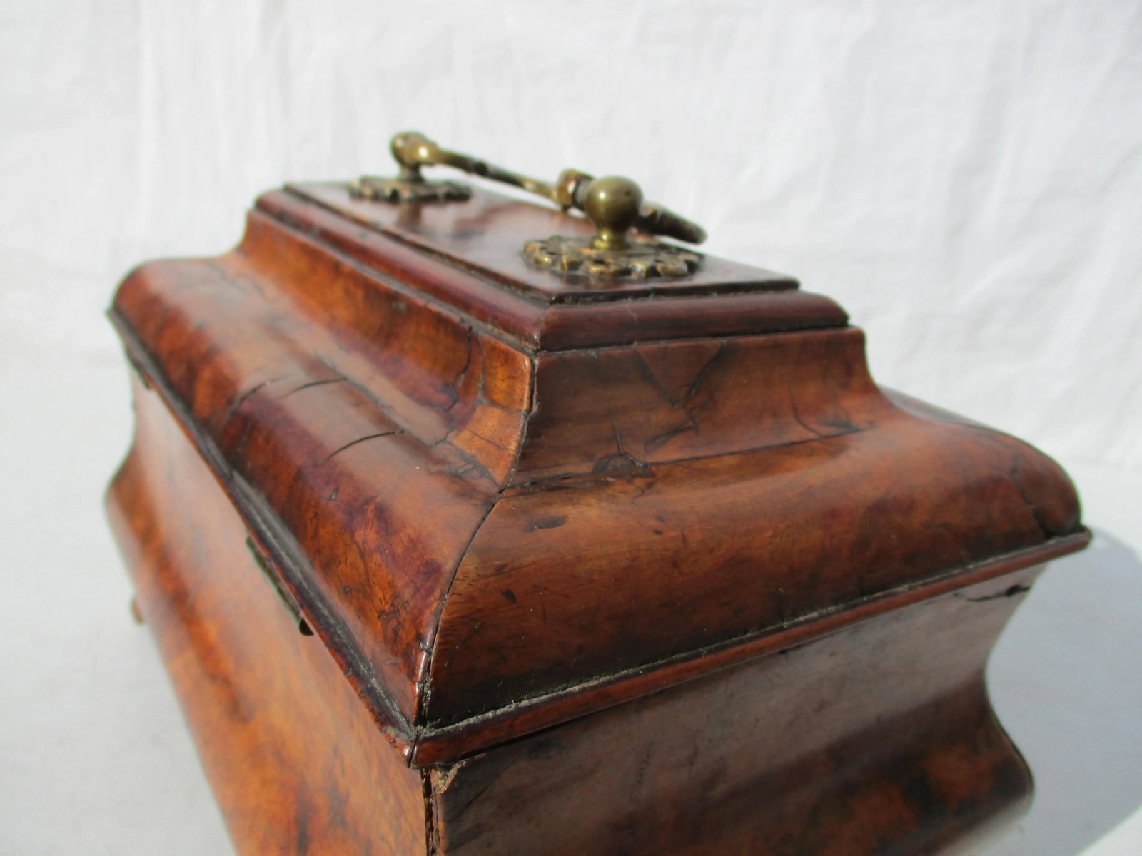 18th Century Dutch Bombay Burl Tea Caddy - 5