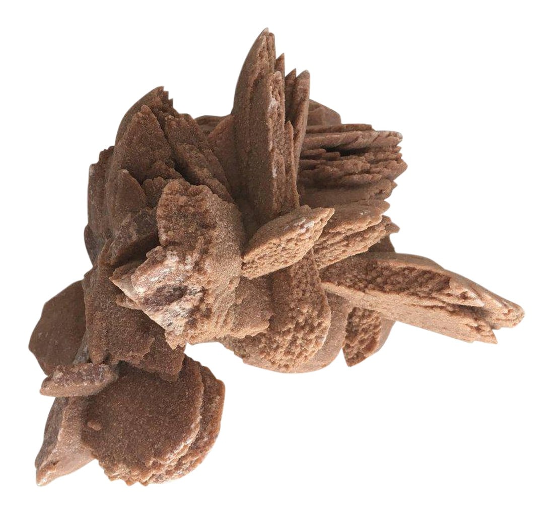 Desert Rose Selenite Crystal Formation: About "˜Desert Rose' selenite crystal Formation desert roses are crystal clusters formed of gypsum barite and sand. It can take nature up to hundreds of thousands of years to form these flower-li