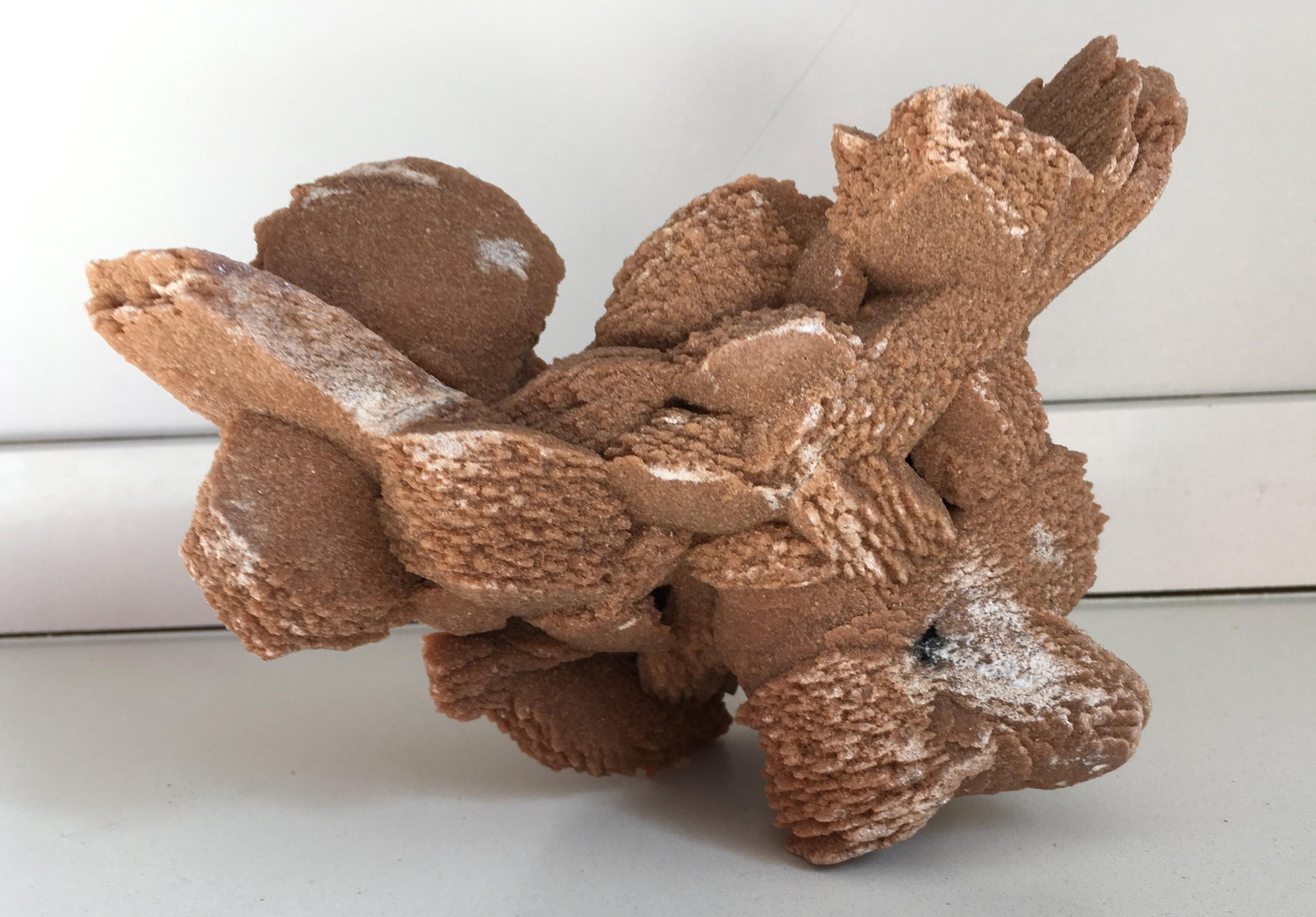 Desert Rose Selenite Crystal Formation - 2