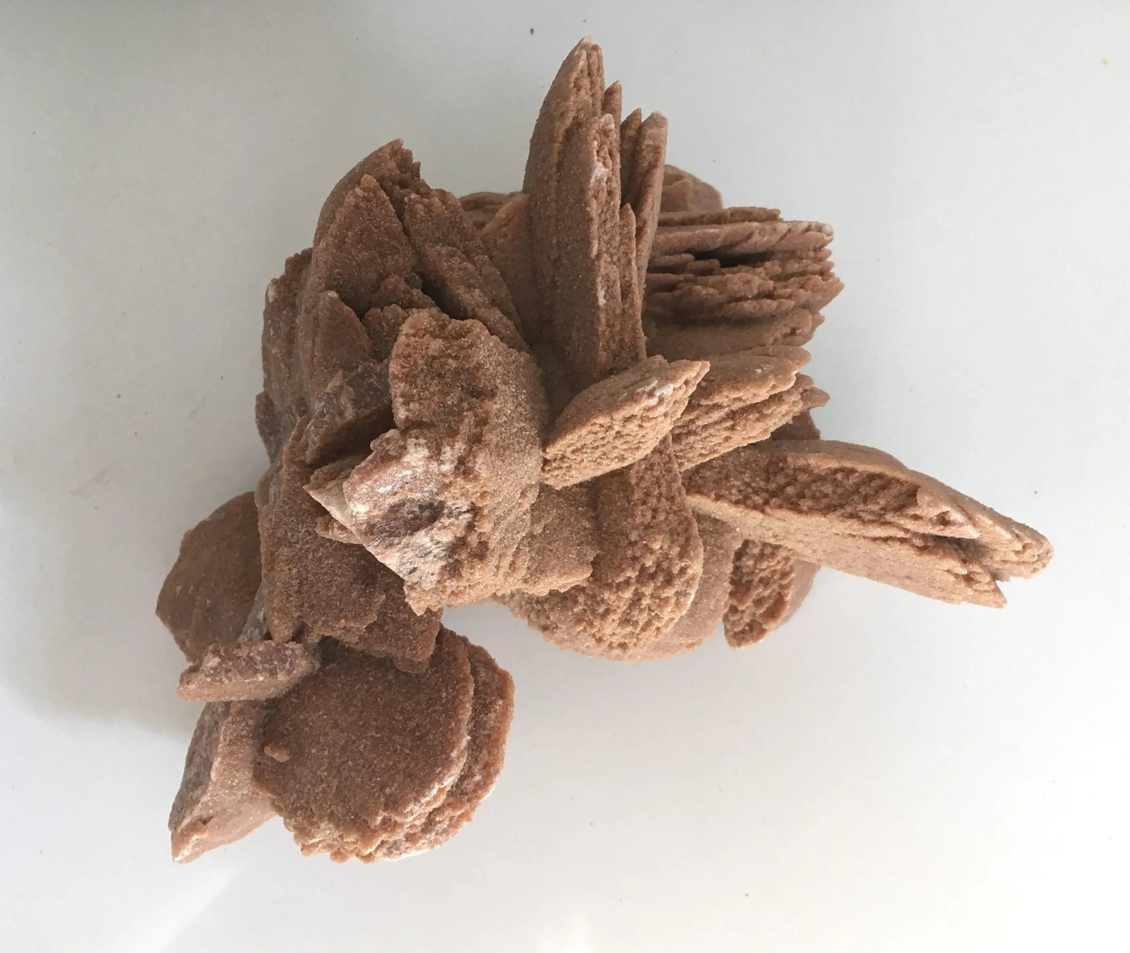 Desert Rose Selenite Crystal Formation - 3