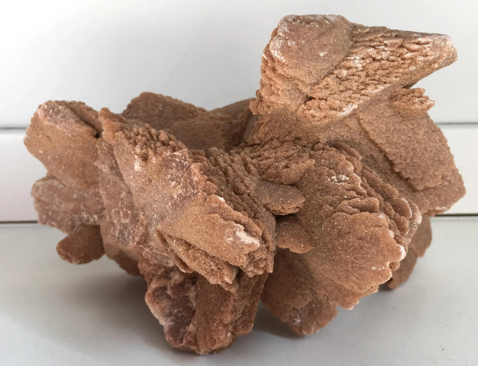 Desert Rose Selenite Crystal Formation - 4