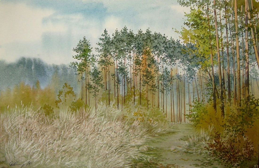 Watercolor painting Walk in the woods Kalebets Valery: Title: Watercolor painting Walk in the woods Kalebets Valery Description: NoSav 301 *** ABOUT THIS PAINTING *** * TITLE: "Walk in the woods" * ARTISTS: Kalebets Valery * SIZE: 30x45 cm/'11.81x17.71 in