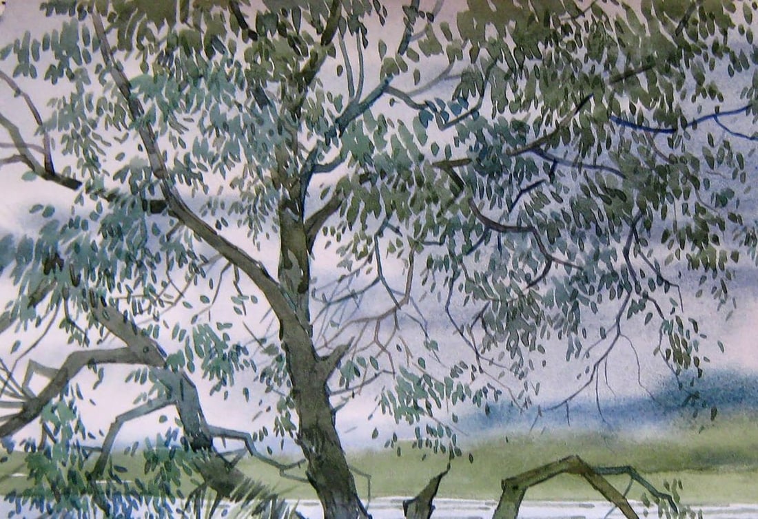 Watercolor painting Old tree Kalebets Valery - 2