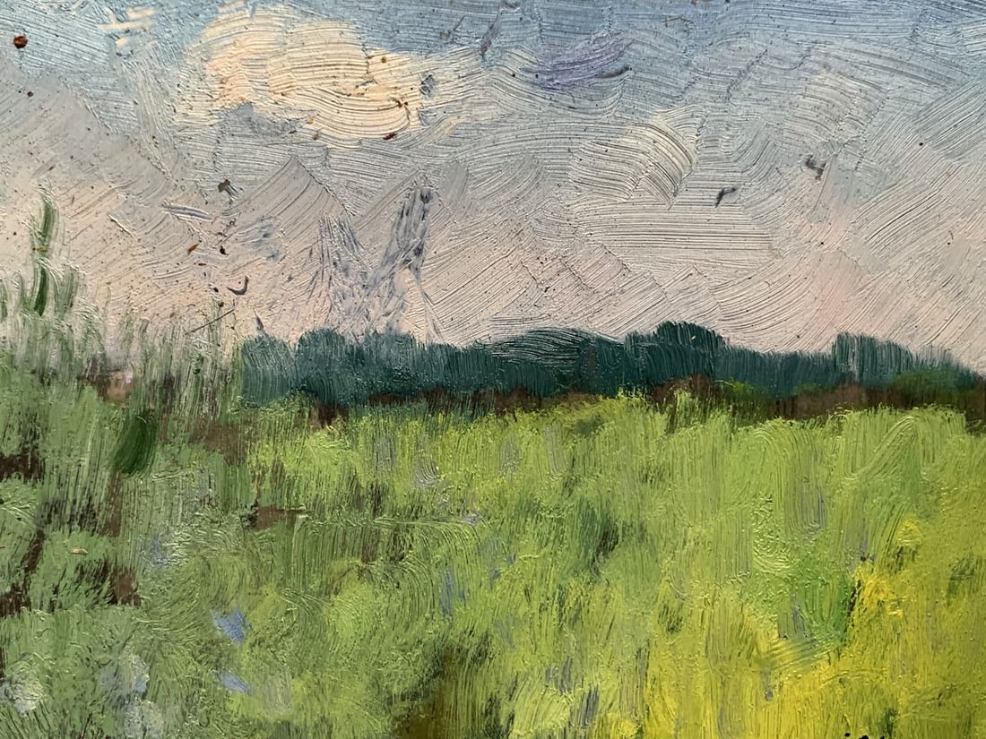 Oil painting After the summer rain Ivan Tsyupka - 4