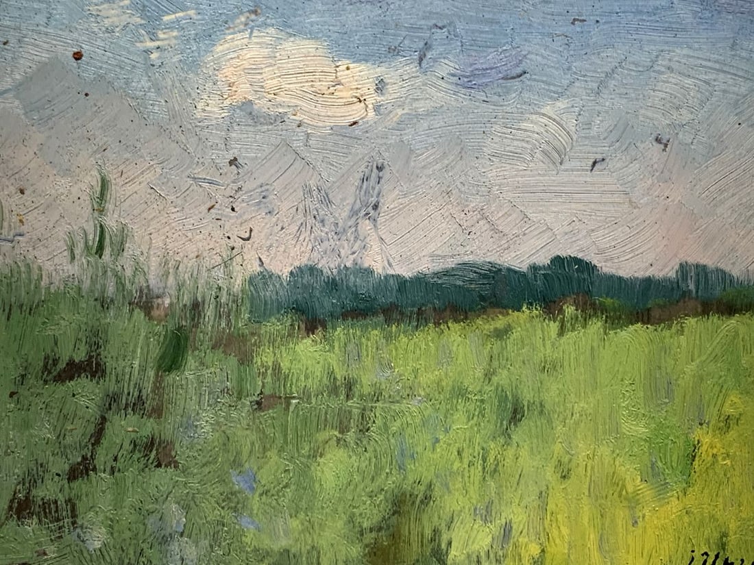 Oil painting After the summer rain Ivan Tsyupka - 7