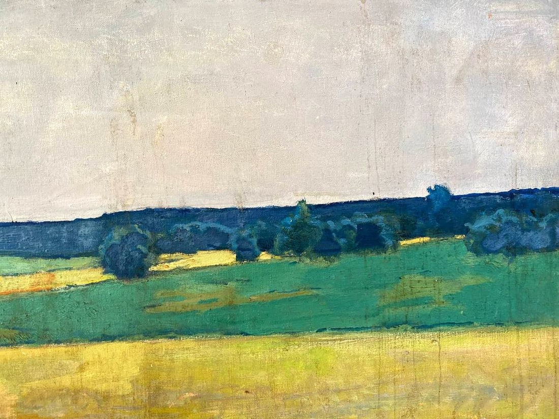 Oil painting Ukrainian fields Pavlyuk Nikolay Artemovich - 2