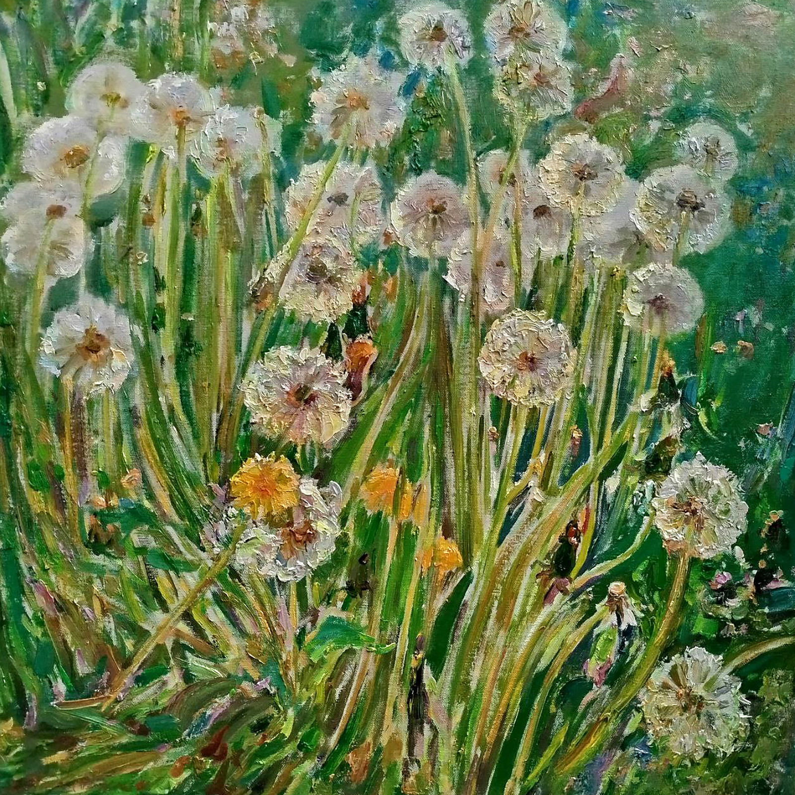 Oil painting Dandelions Leonid Pavlenko (1 of 5)