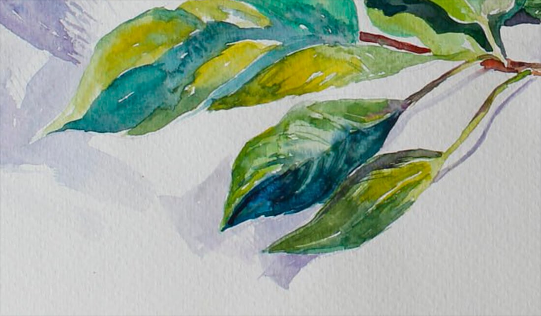 Watercolor painting Still life with apricots Maria Voloschak - 9