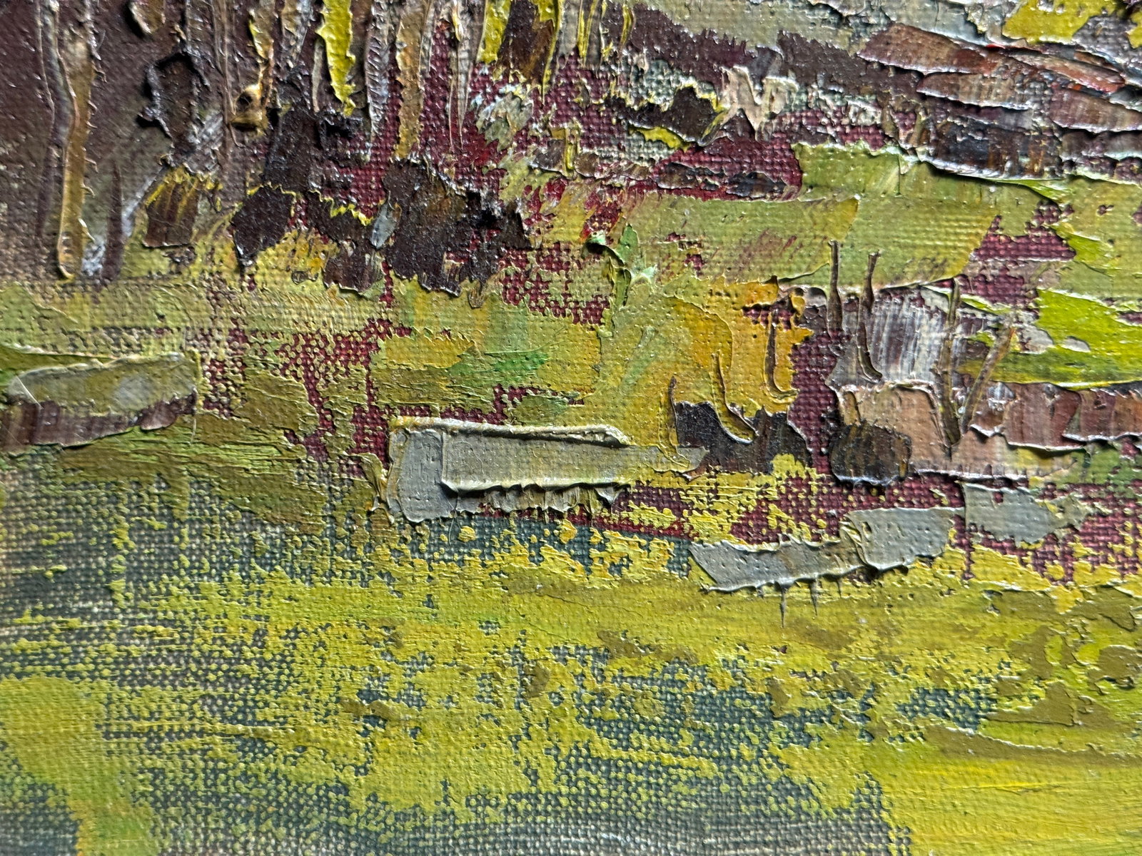 Oil painting with frame Botanical Garden of Ivan Franko National University of Lviv K. Leonid - 8