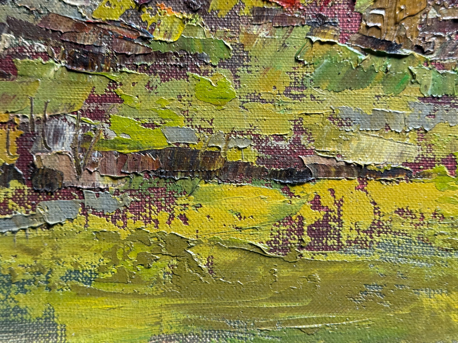 Oil painting with frame Botanical Garden of Ivan Franko National University of Lviv K. Leonid - 9
