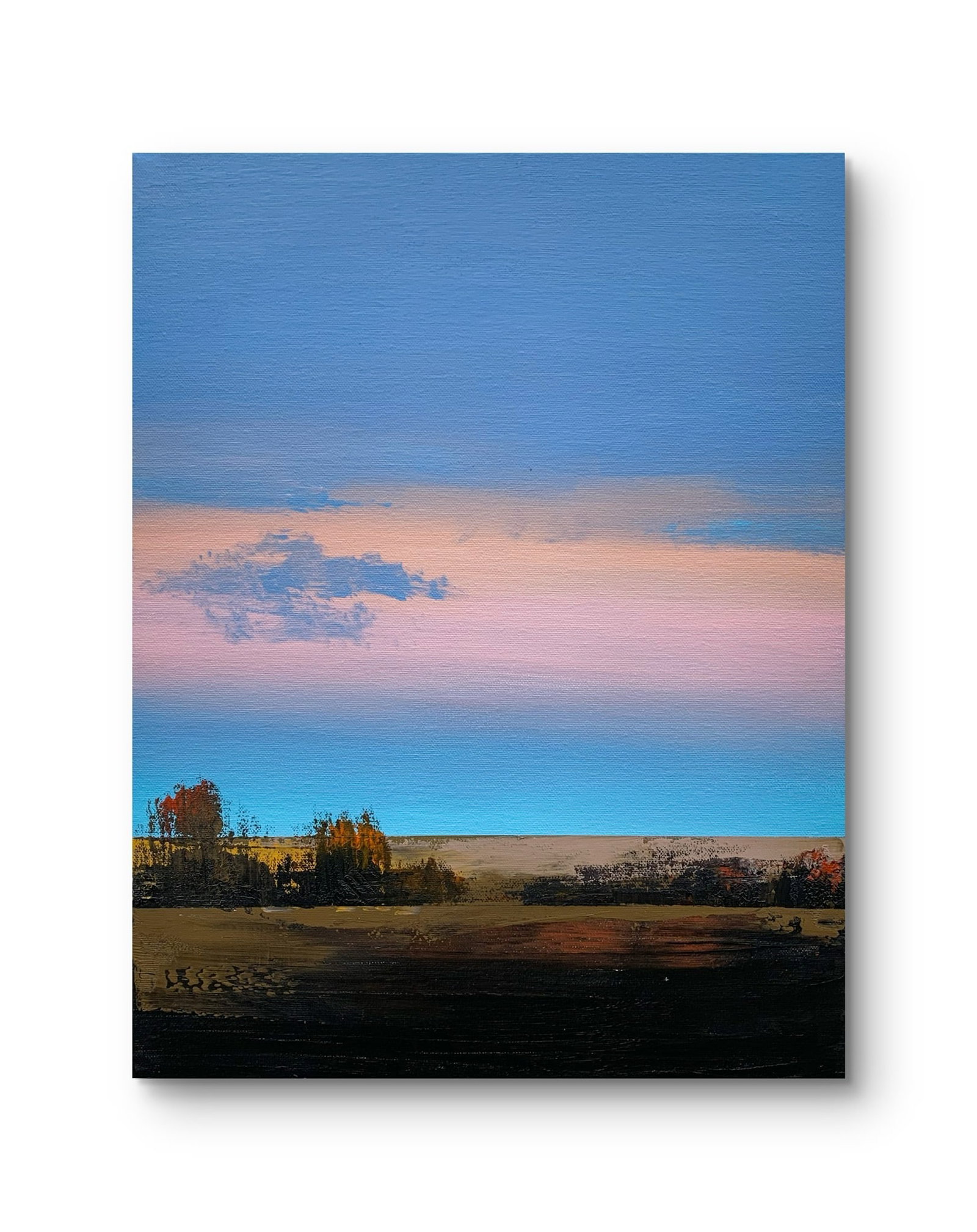 Oil painting Rural horizon Ukrainian painter - 11